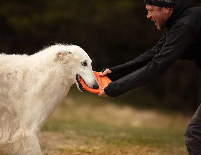 Non-Stop Dog Wear : Dog Toy, Flying Disc