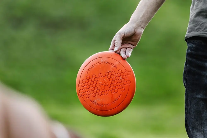 Non-Stop Dog Wear : Dog Toy, Flying Disc