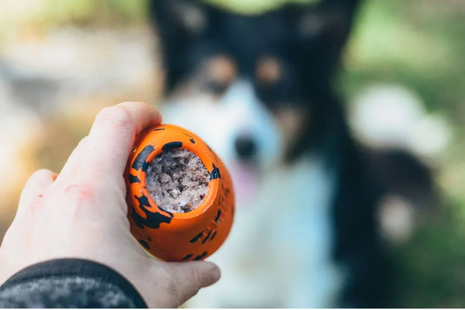 Non-Stop Dog Wear : Dog Toy, Throw Toy