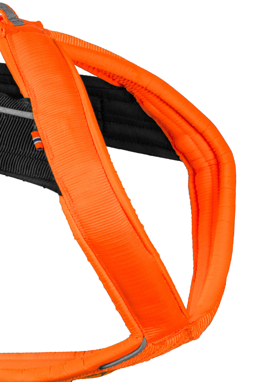 Non-Stop Dog Wear: Freemotion Harness 5.0