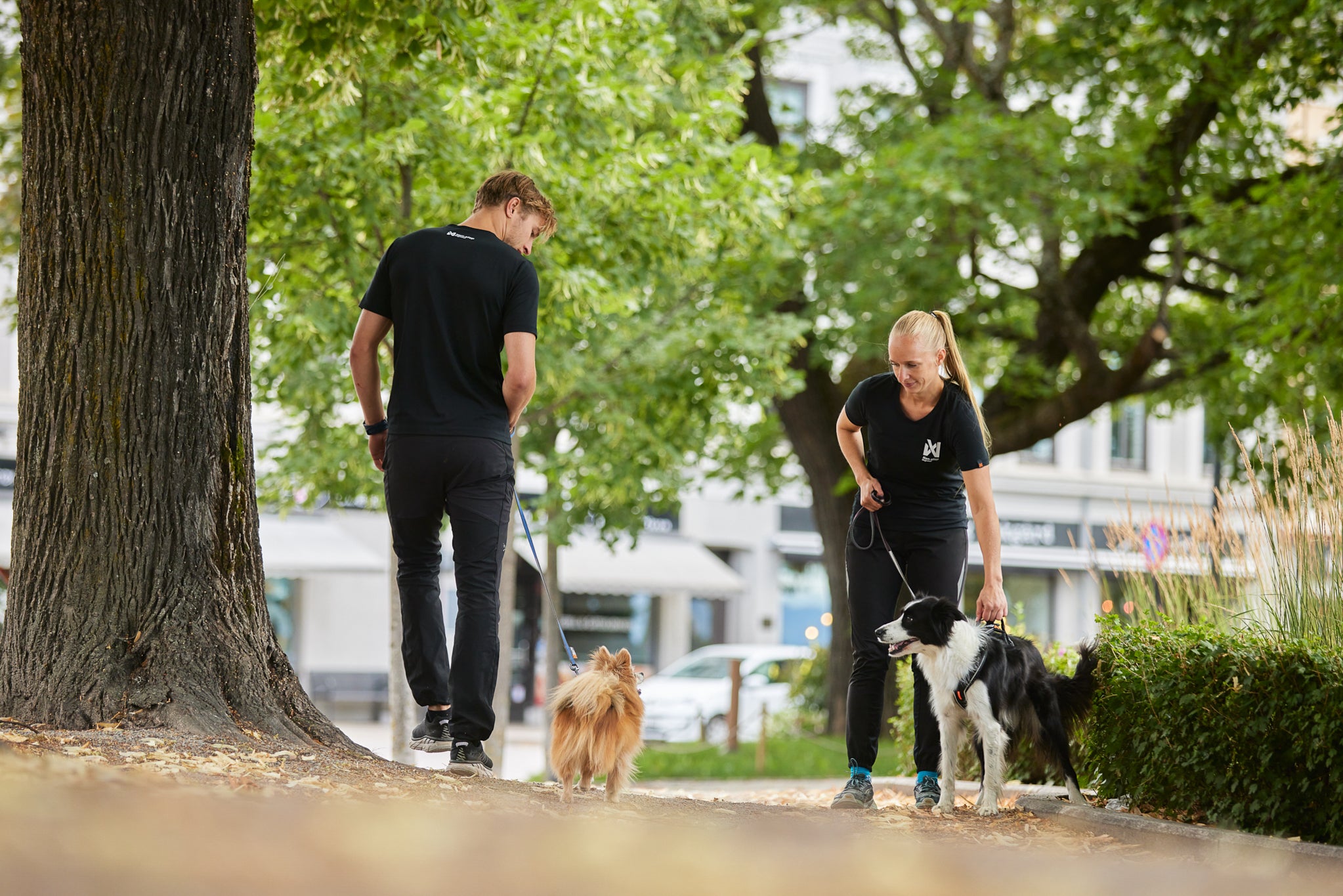 Non-Stop Dog Wear: Line Harness Grip