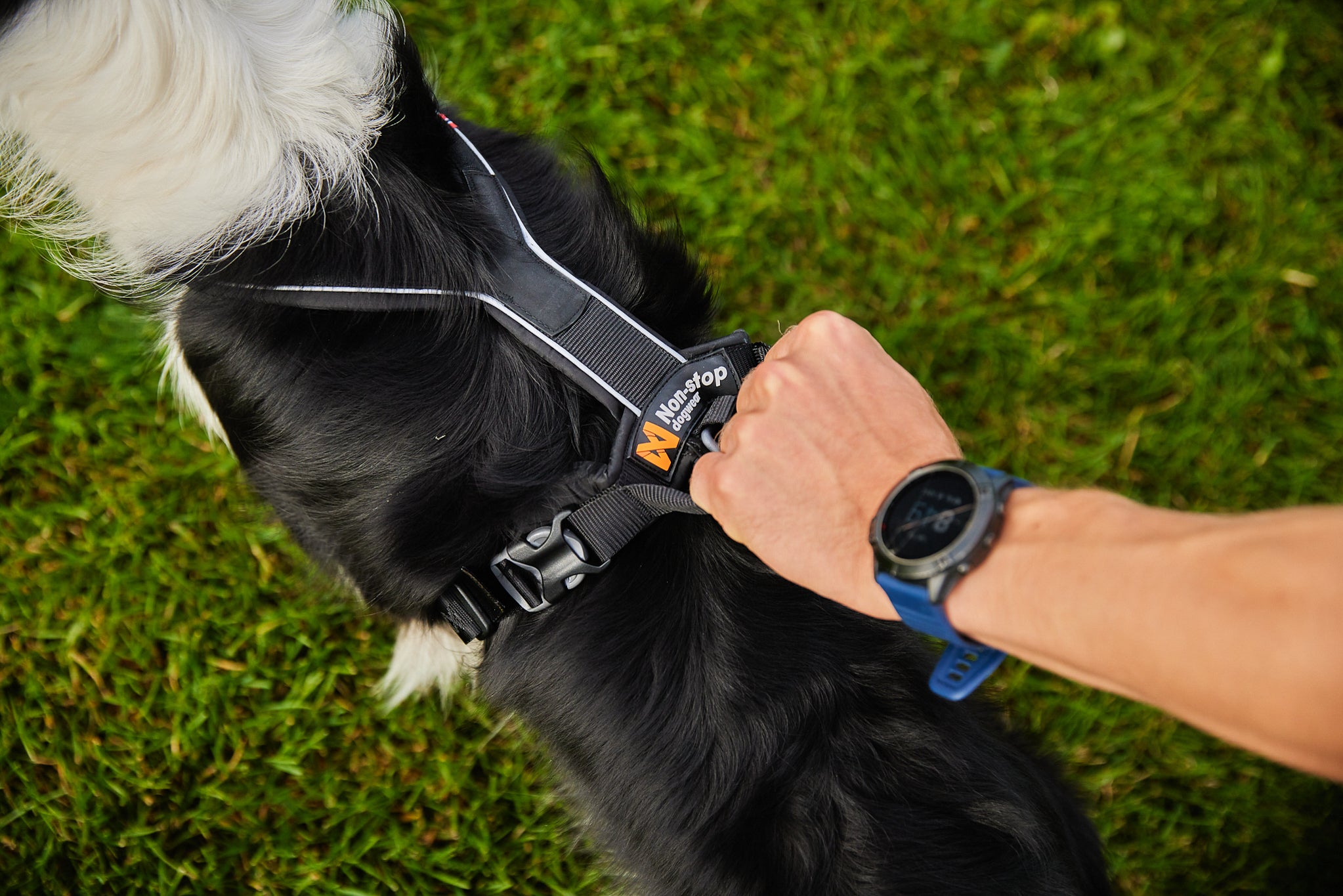 Non-Stop Dog Wear: Line Harness Grip