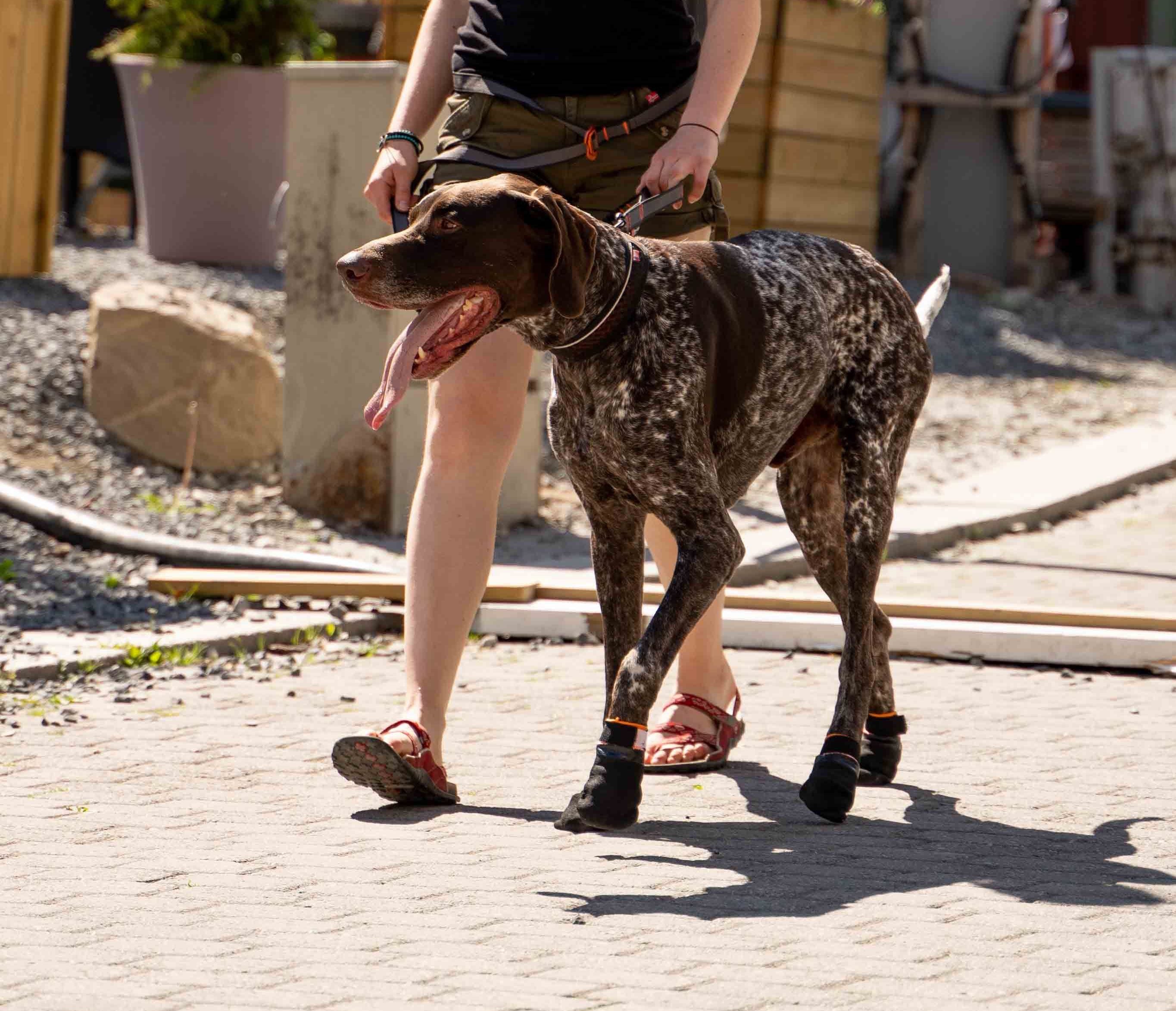 Non-Stop Dog Wear, Protector Booties