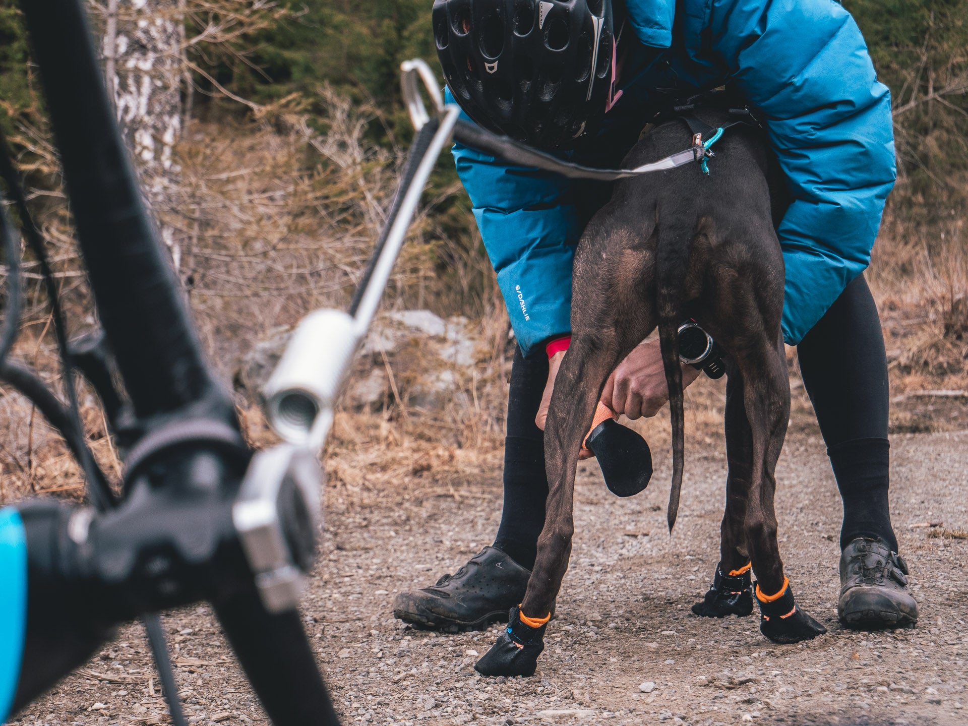 Non-Stop Dog Wear, Protector Booties