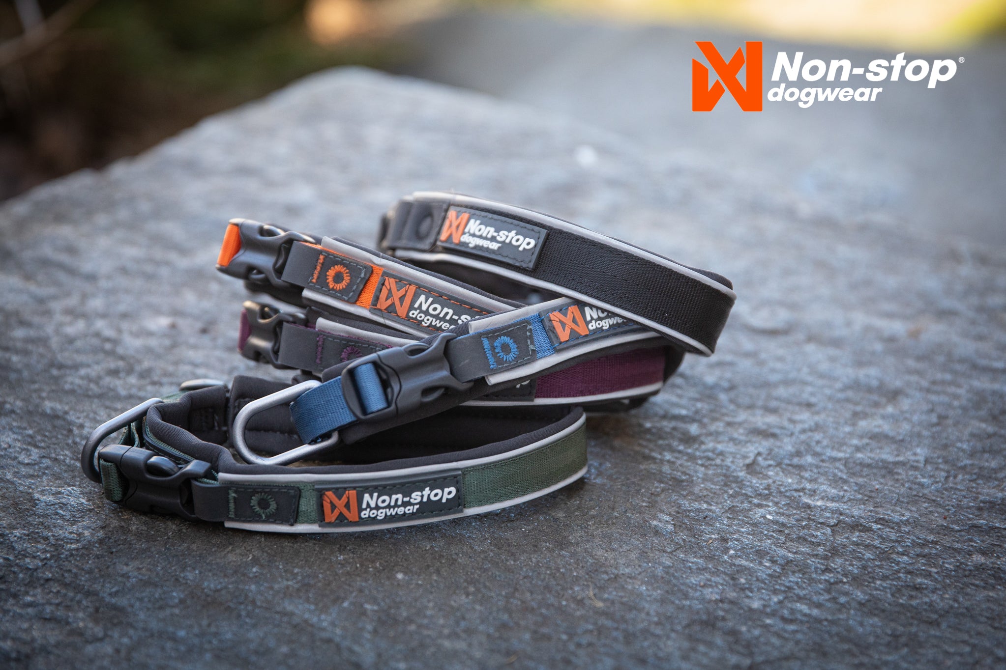 Non-Stop Dog Wear: Roam Collar