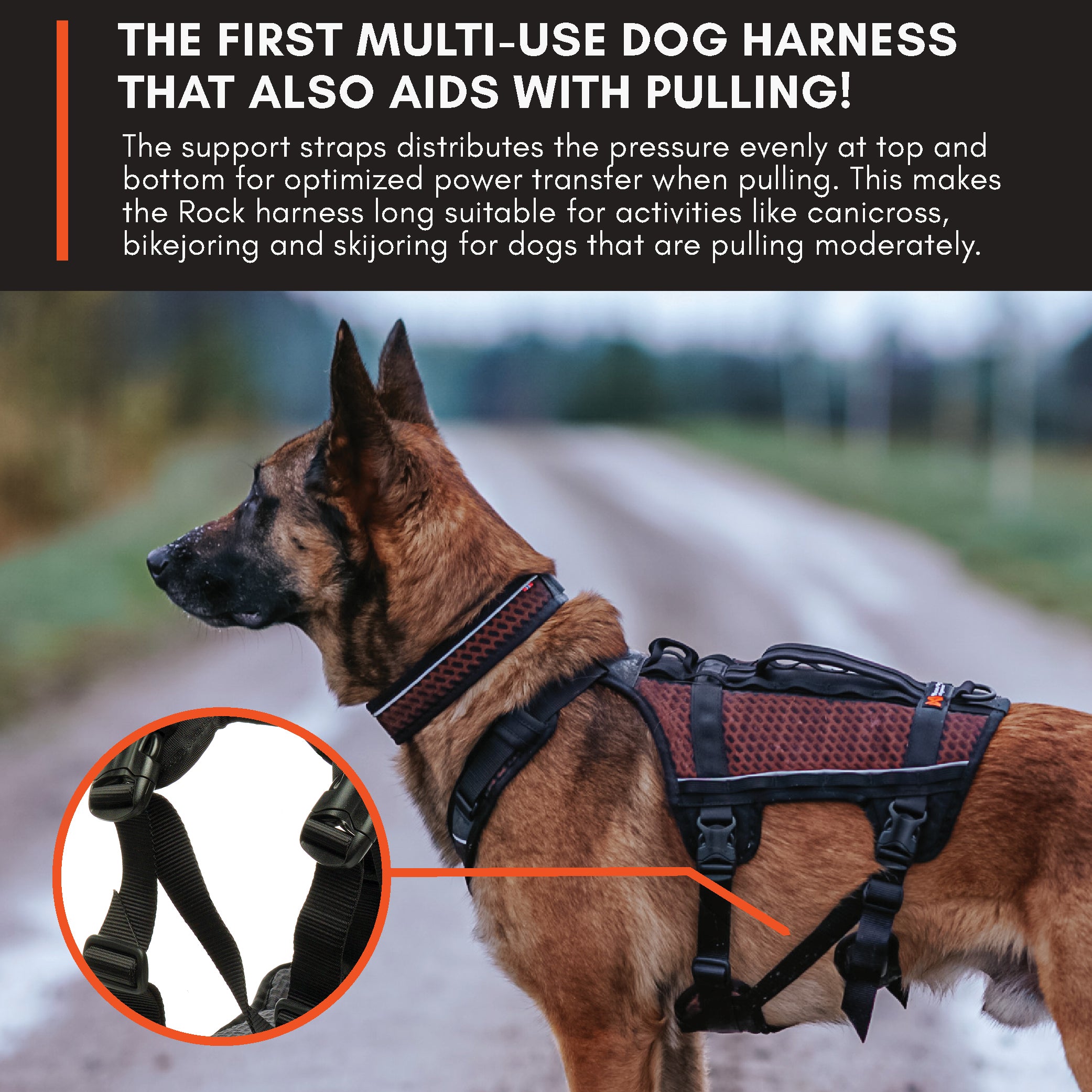 Non-Stop Dog Wear: Rock Harness Long