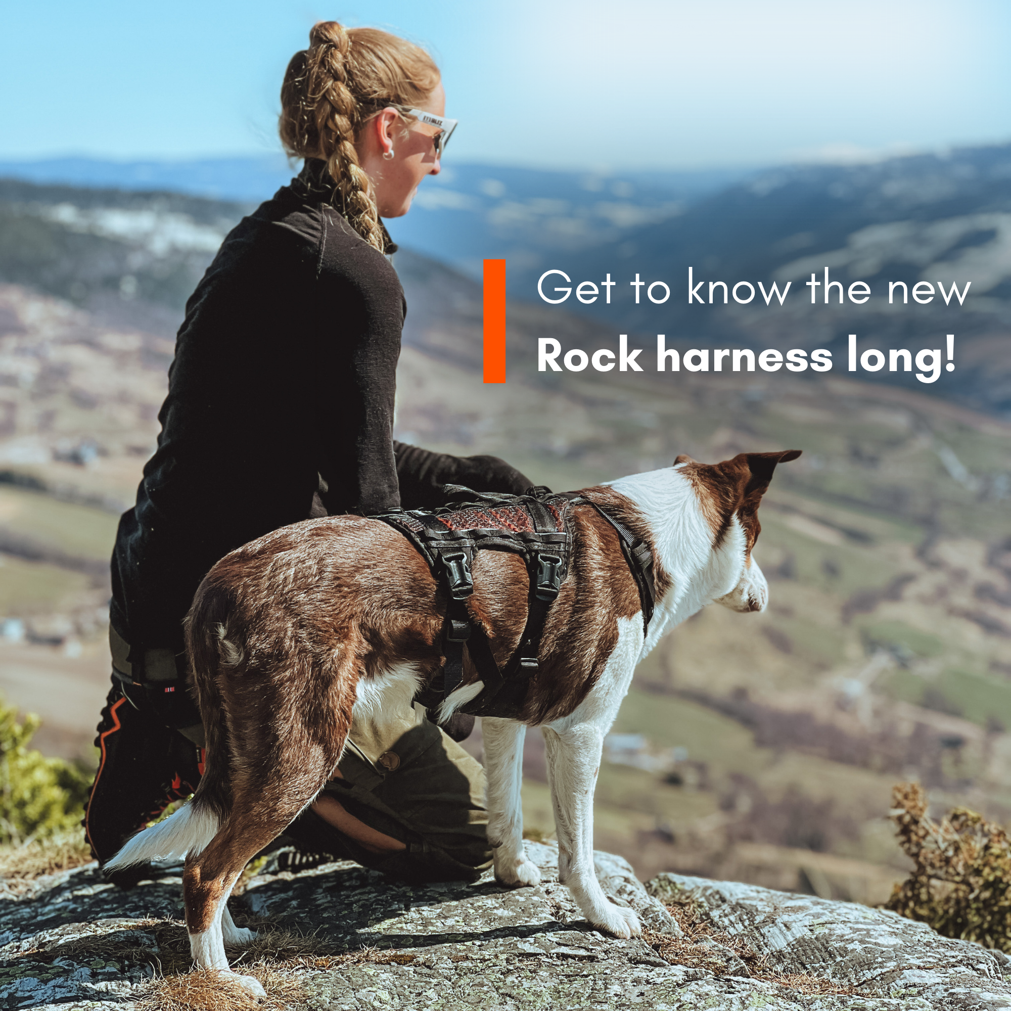 Non-Stop Dog Wear: Rock Harness Long