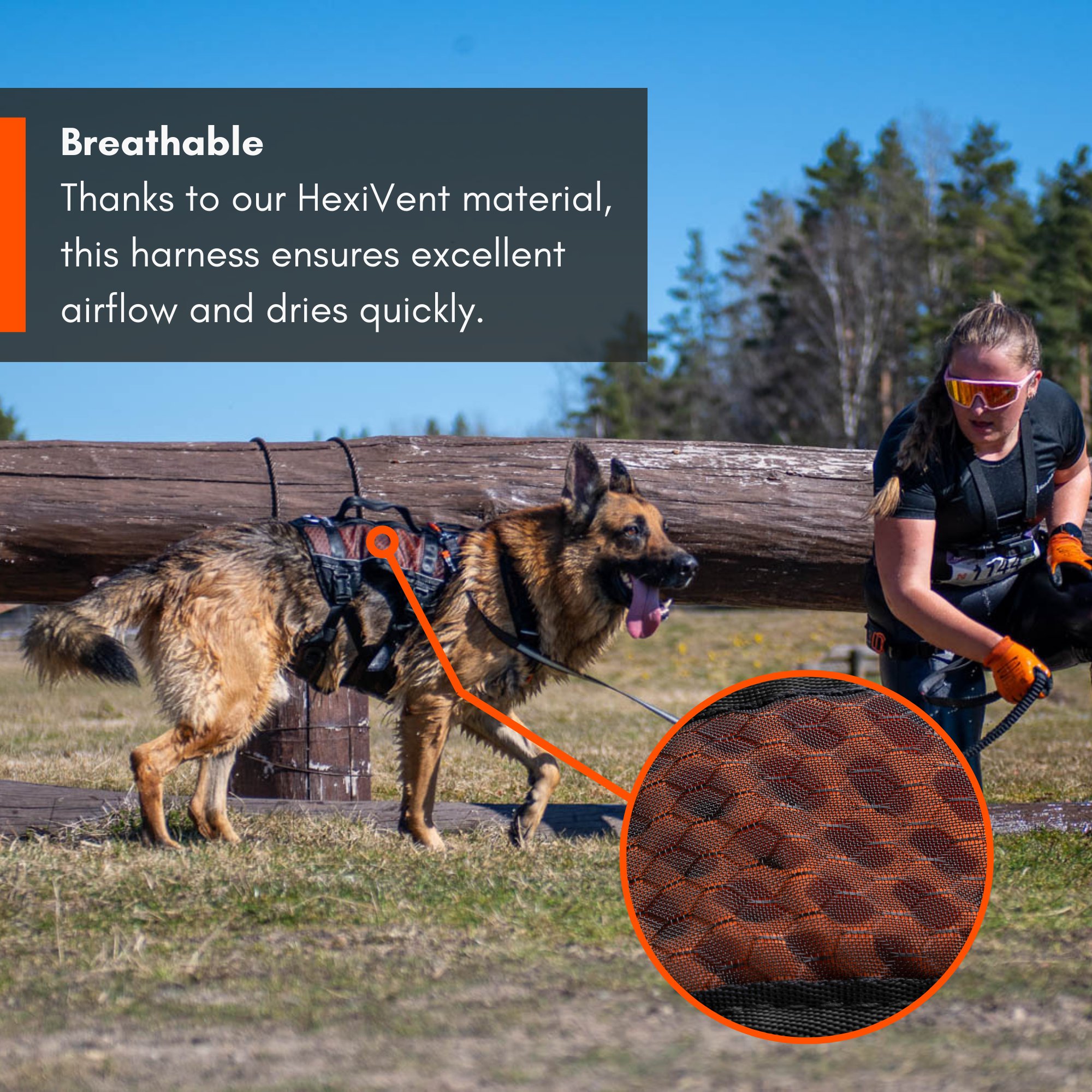 Non-Stop Dog Wear: Rock Harness Long