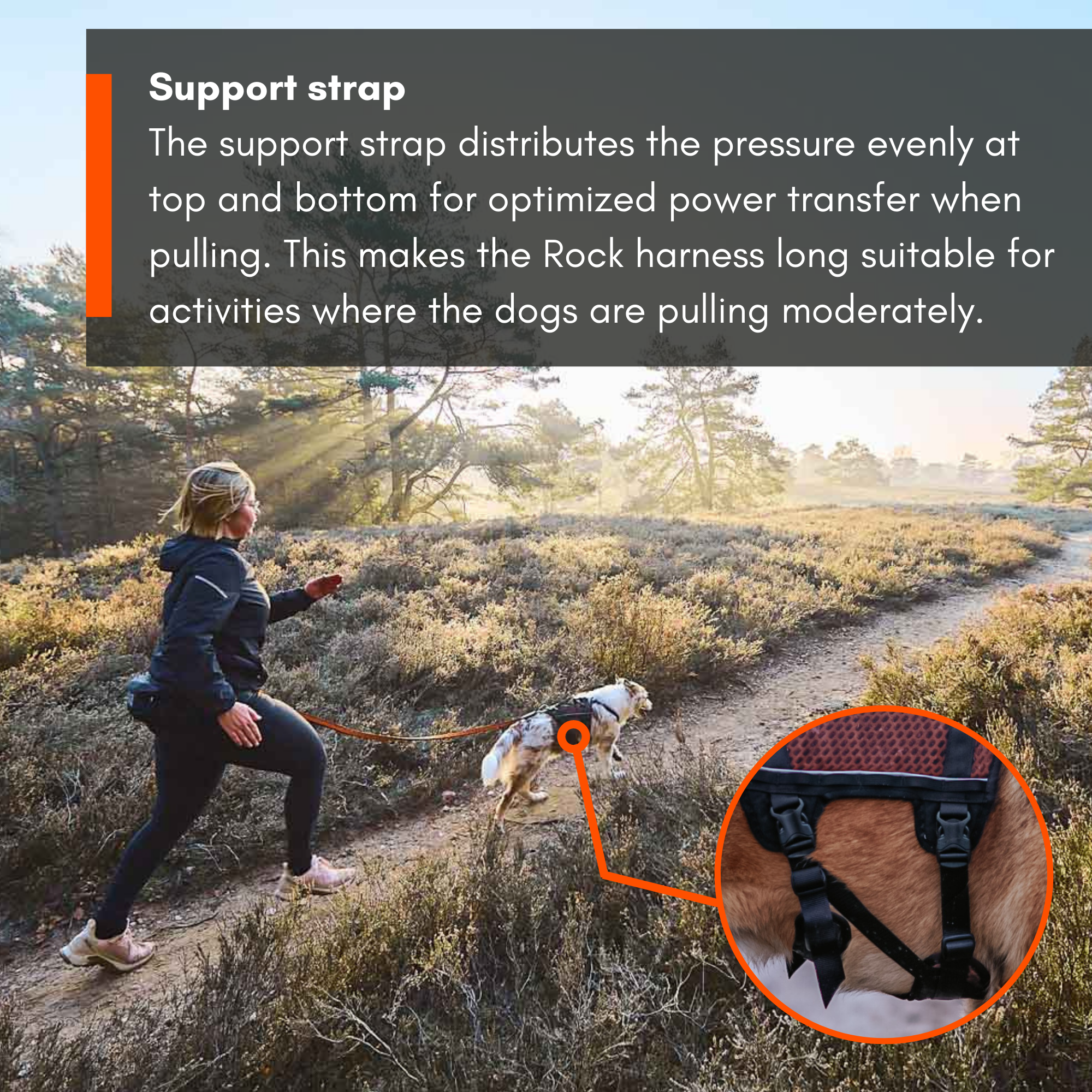 Non-Stop Dog Wear: Rock Harness Long