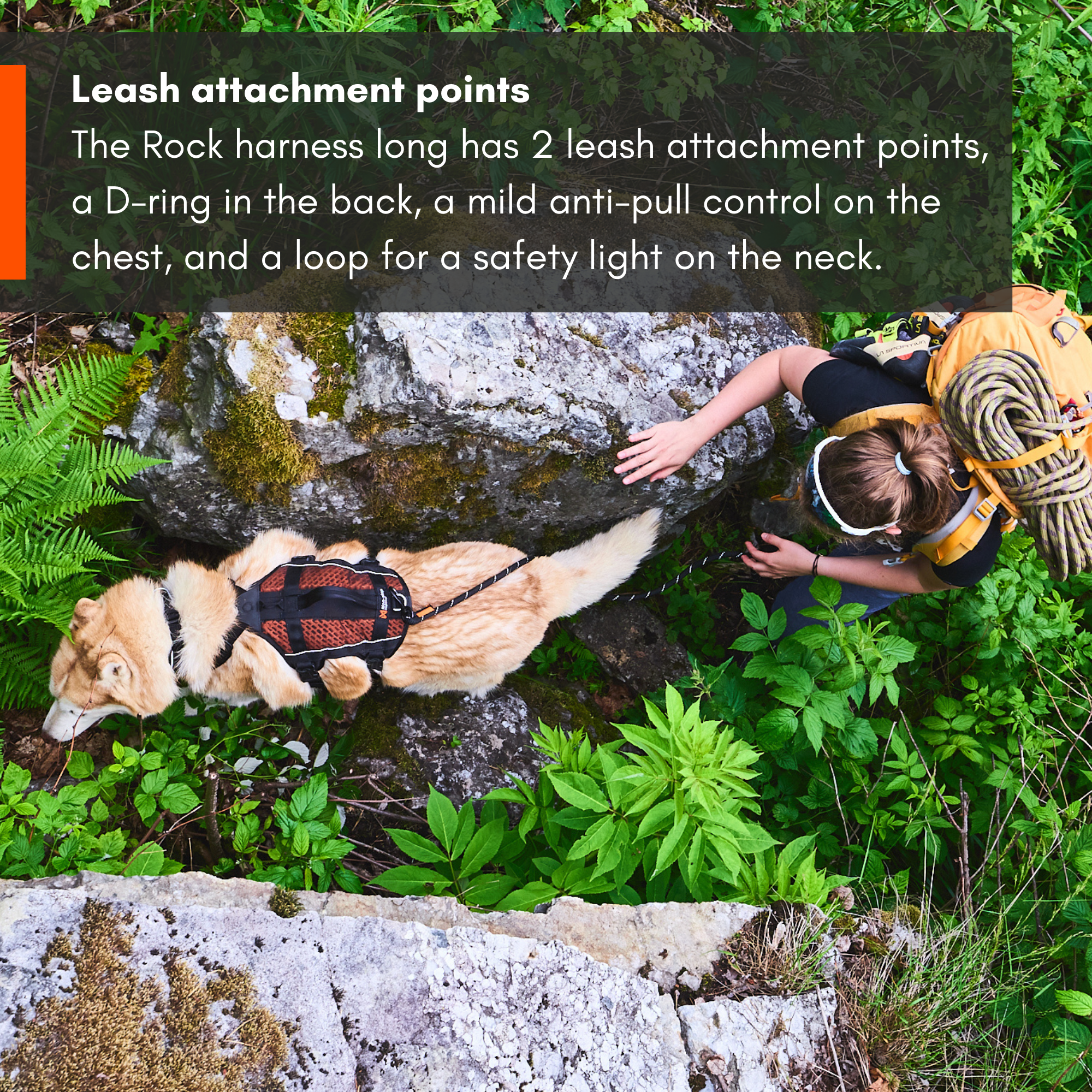 Non-Stop Dog Wear: Rock Harness Long
