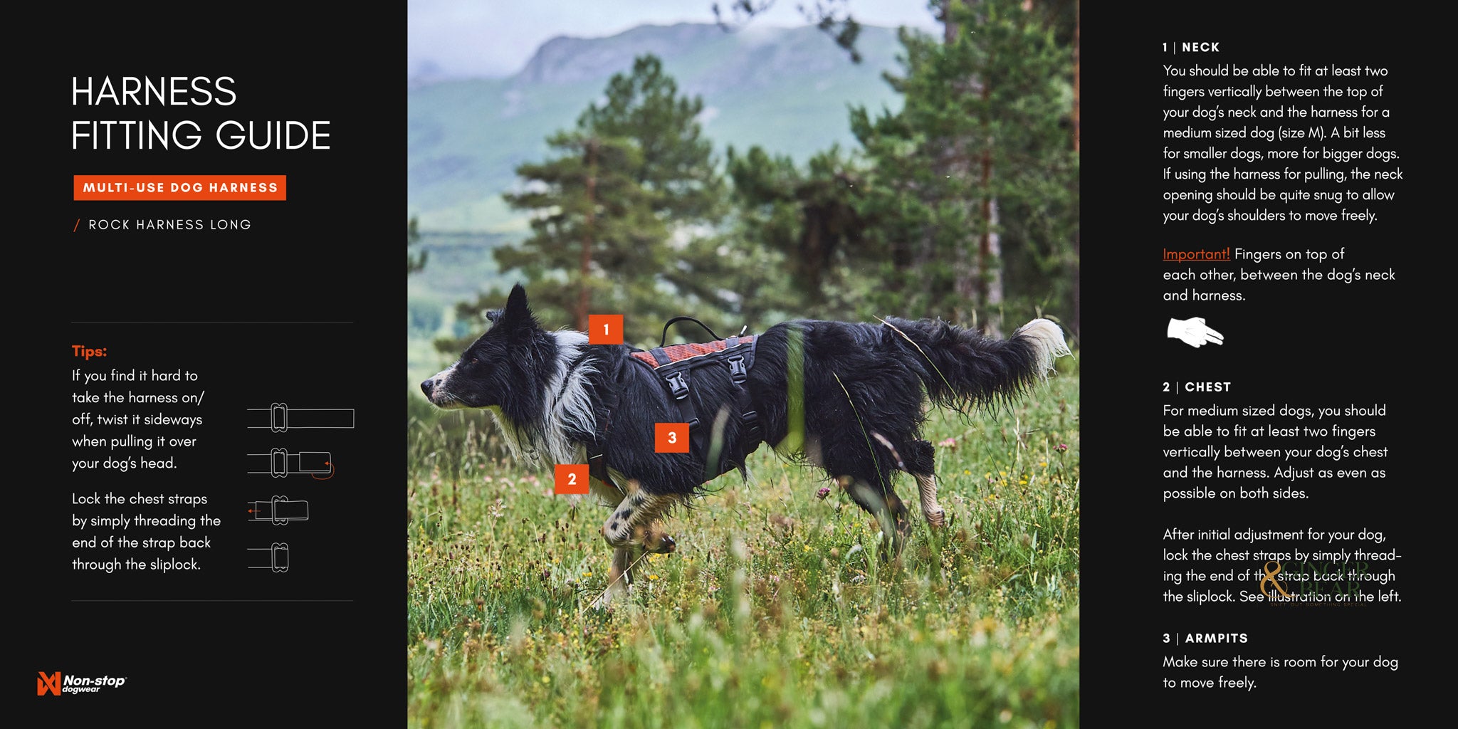 Non-Stop Dog Wear: Rock Harness Long