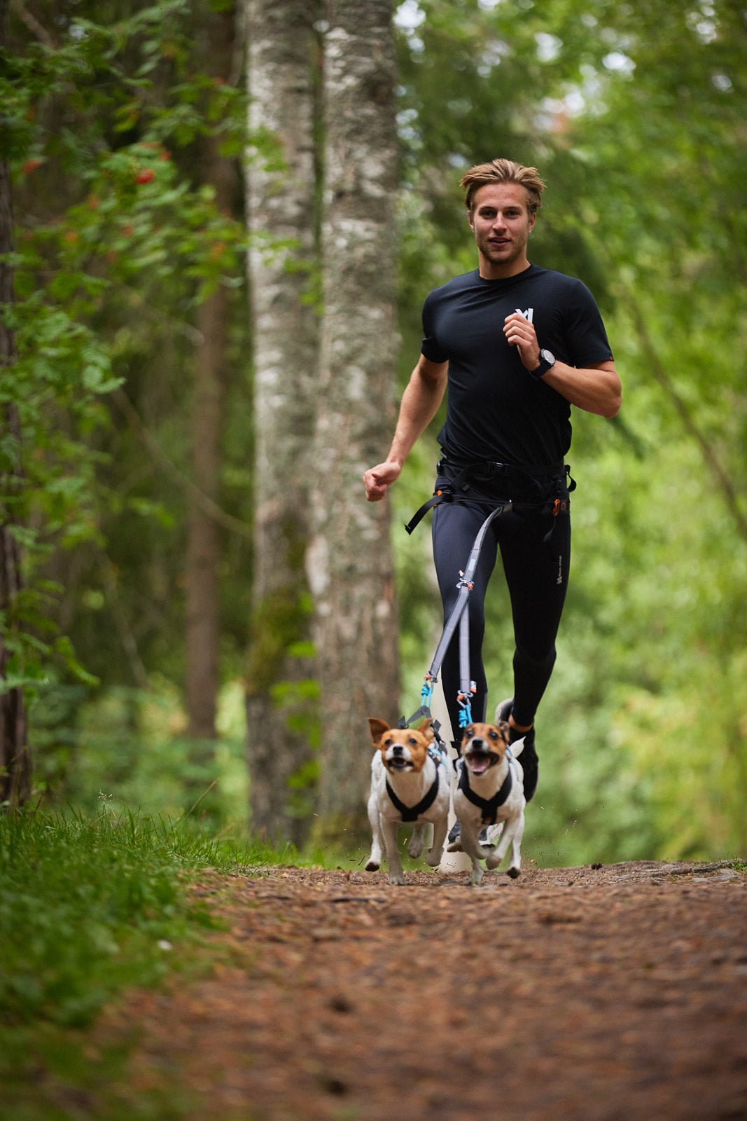 Non-Stop Dog Wear: Leash Splitter, Touring Double