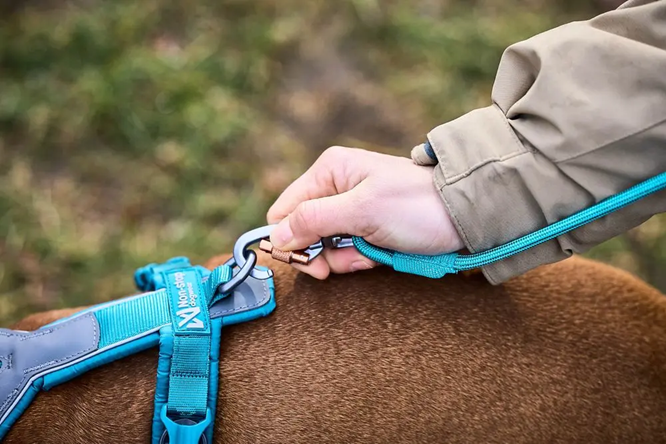 Non-Stop Dog Wear: Trekking Rope Leash