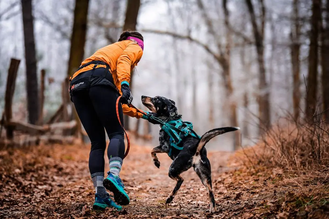 Non-Stop Dog Wear: Canix Belt 2.0