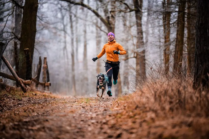 Non-Stop Dog Wear: Canix Belt 2.0