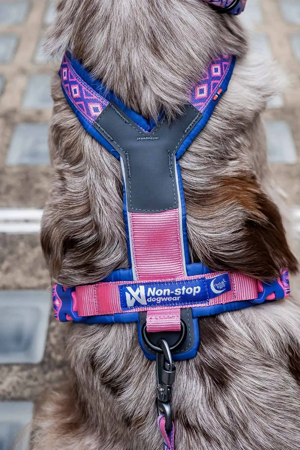Non-Stop Dog Wear : Rachel Pohl Signature Series Line Harness 5.0 Purple/Pink