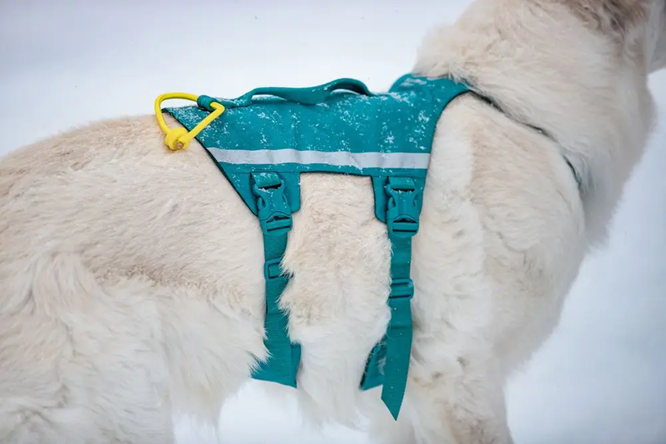 Non-Stop Dog Wear: Ramble Harness Long