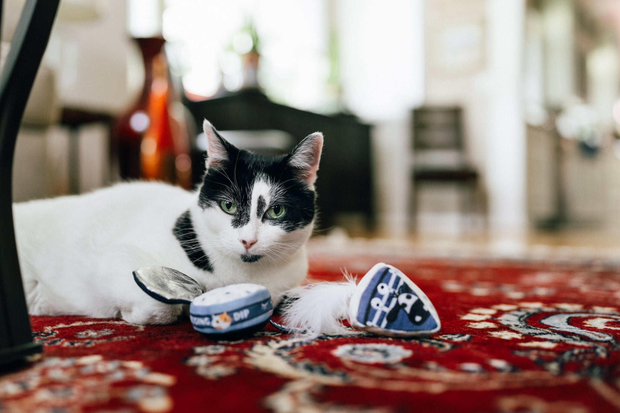 P.L.A.Y. Feline Frenzy, Catnip Toy set: Kitty Crumble