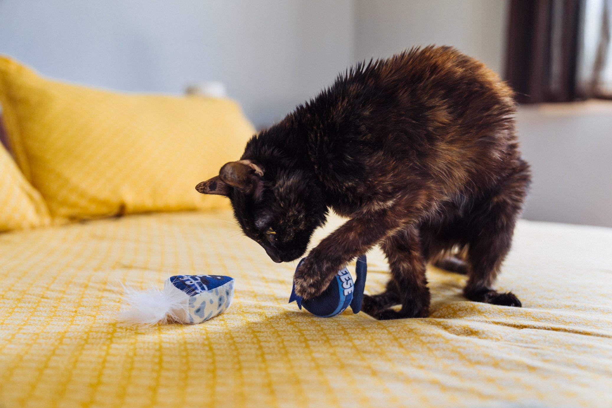 P.L.A.Y. Feline Frenzy, Catnip Toy set: Kitty Crumble