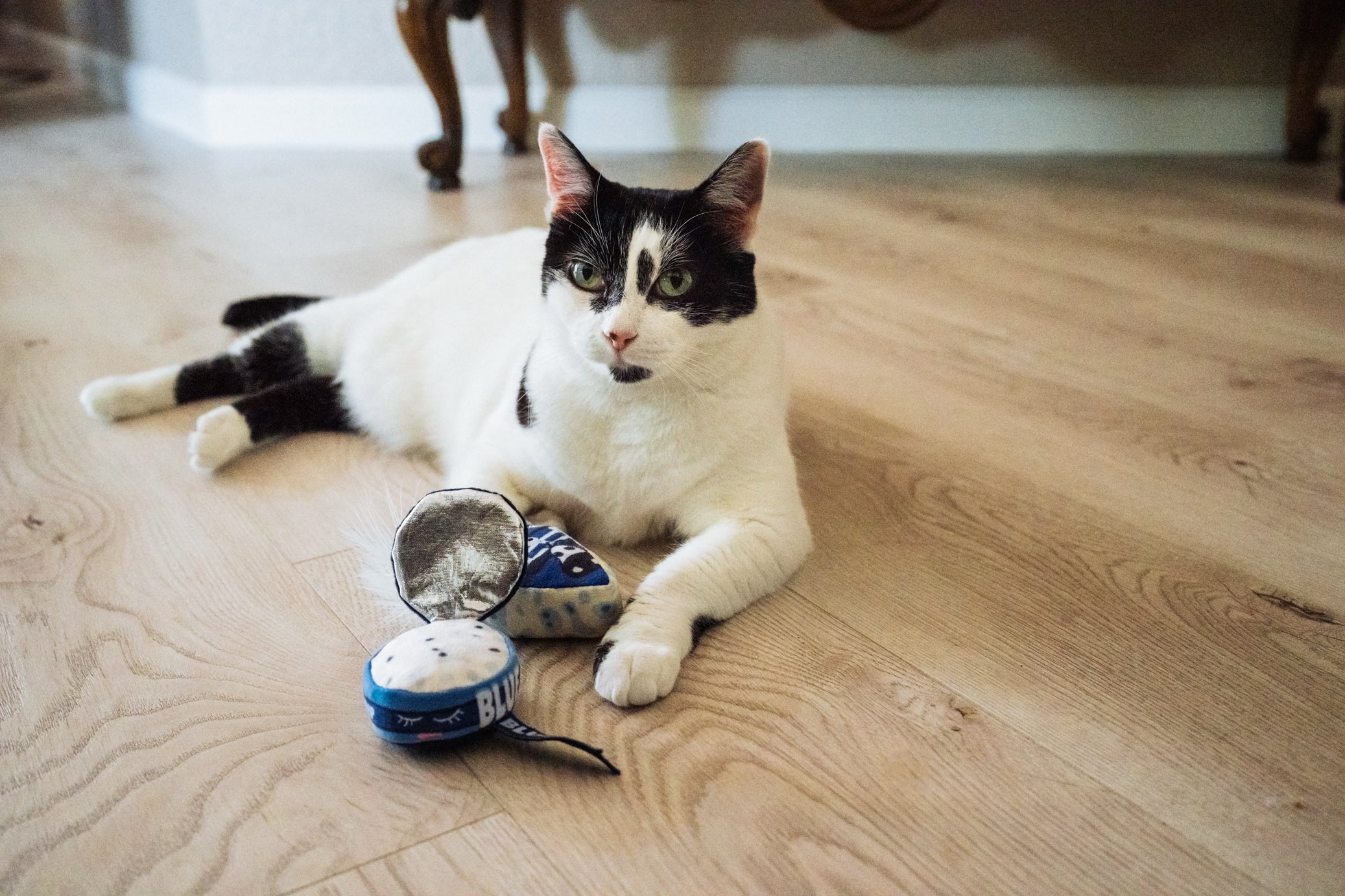 P.L.A.Y. Feline Frenzy, Catnip Toy set: Kitty Crumble