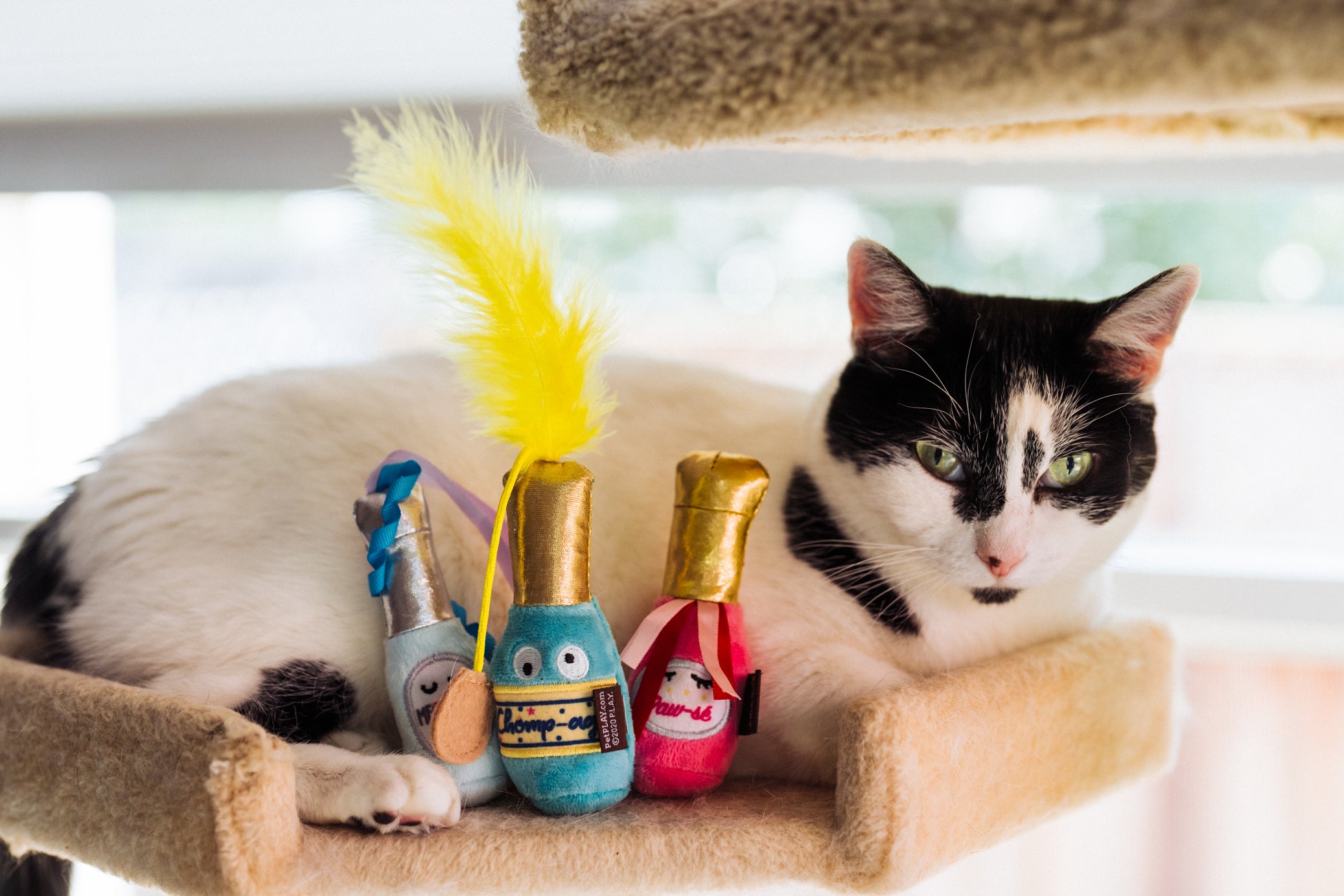 P.L.A.Y. Feline Frenzy, Catnip Toy set: Pop, Fizz, Meow