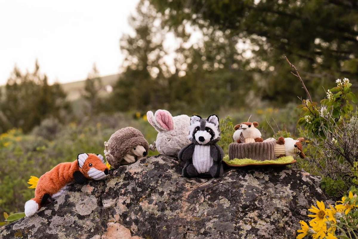 P.L.A.Y. Forest Friends Squeaky Plush Dog toys, Hamilton the Hedgehog