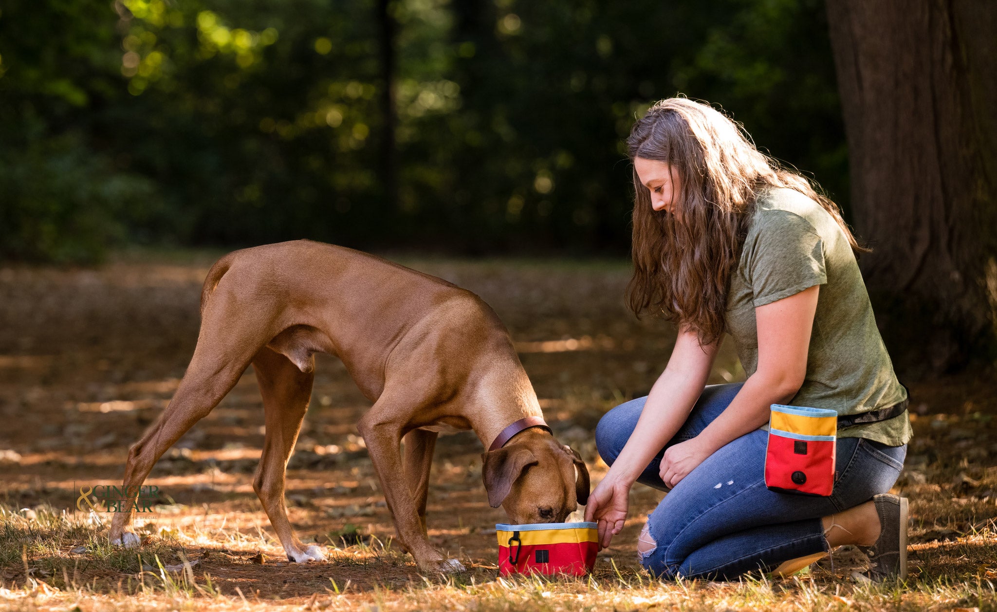 P.L.A.Y. Landscape Dog Travel Bowl