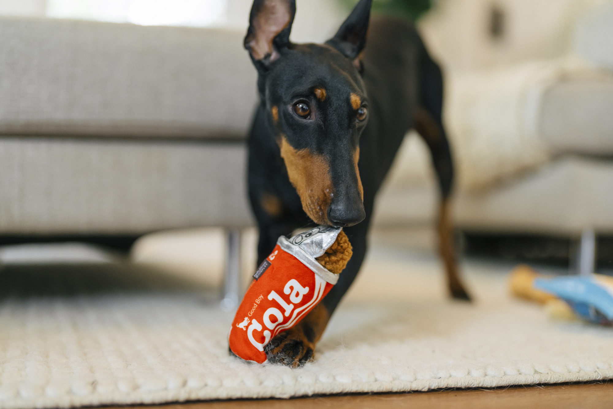 P.L.A.Y. Snack Attack Squeaky Plush Dog toys, Good Boy Cola (mini sized)