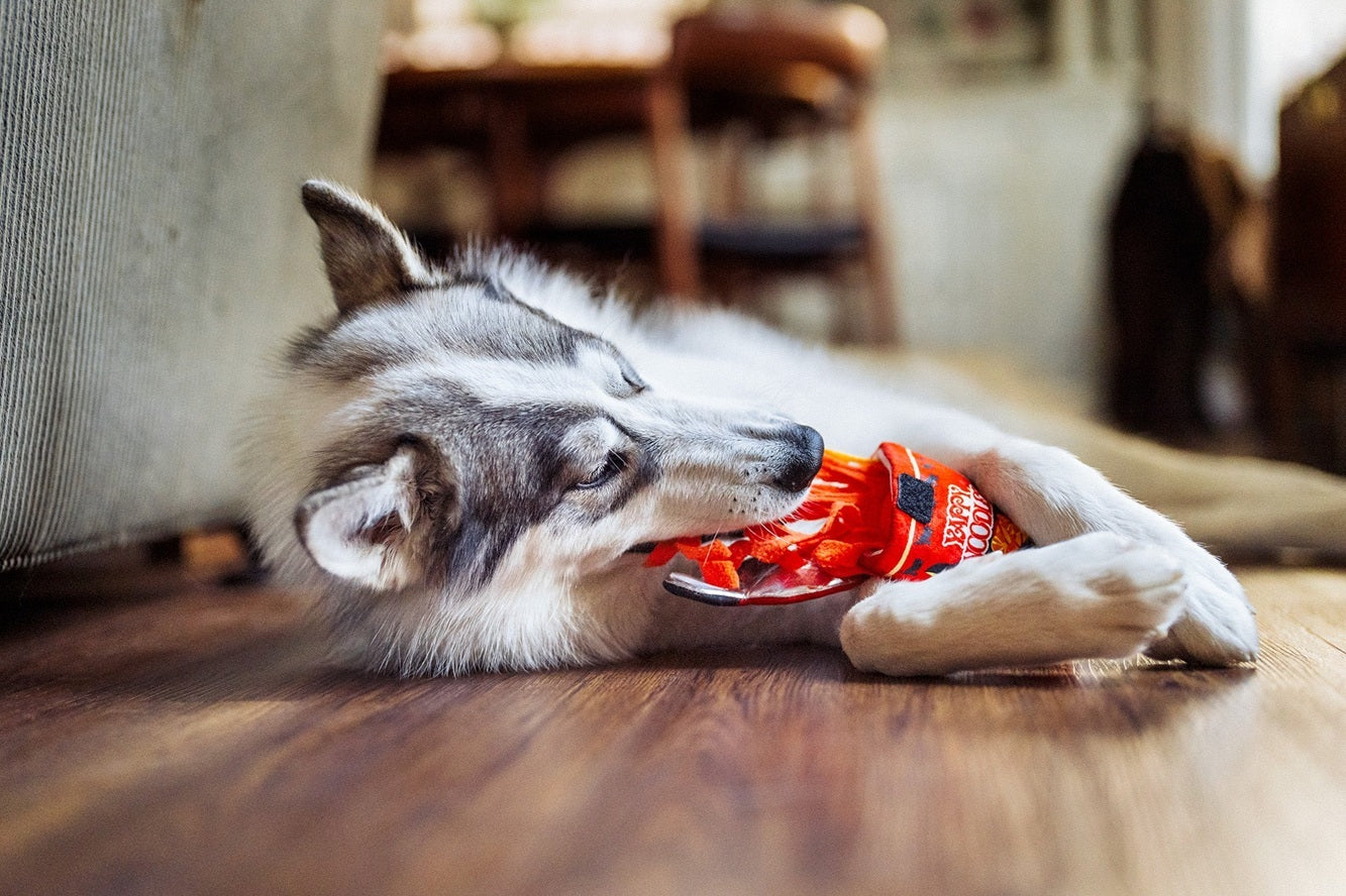 P.L.A.Y. The International Classic Squeaky Plush Dog Toy, Slurp it Up