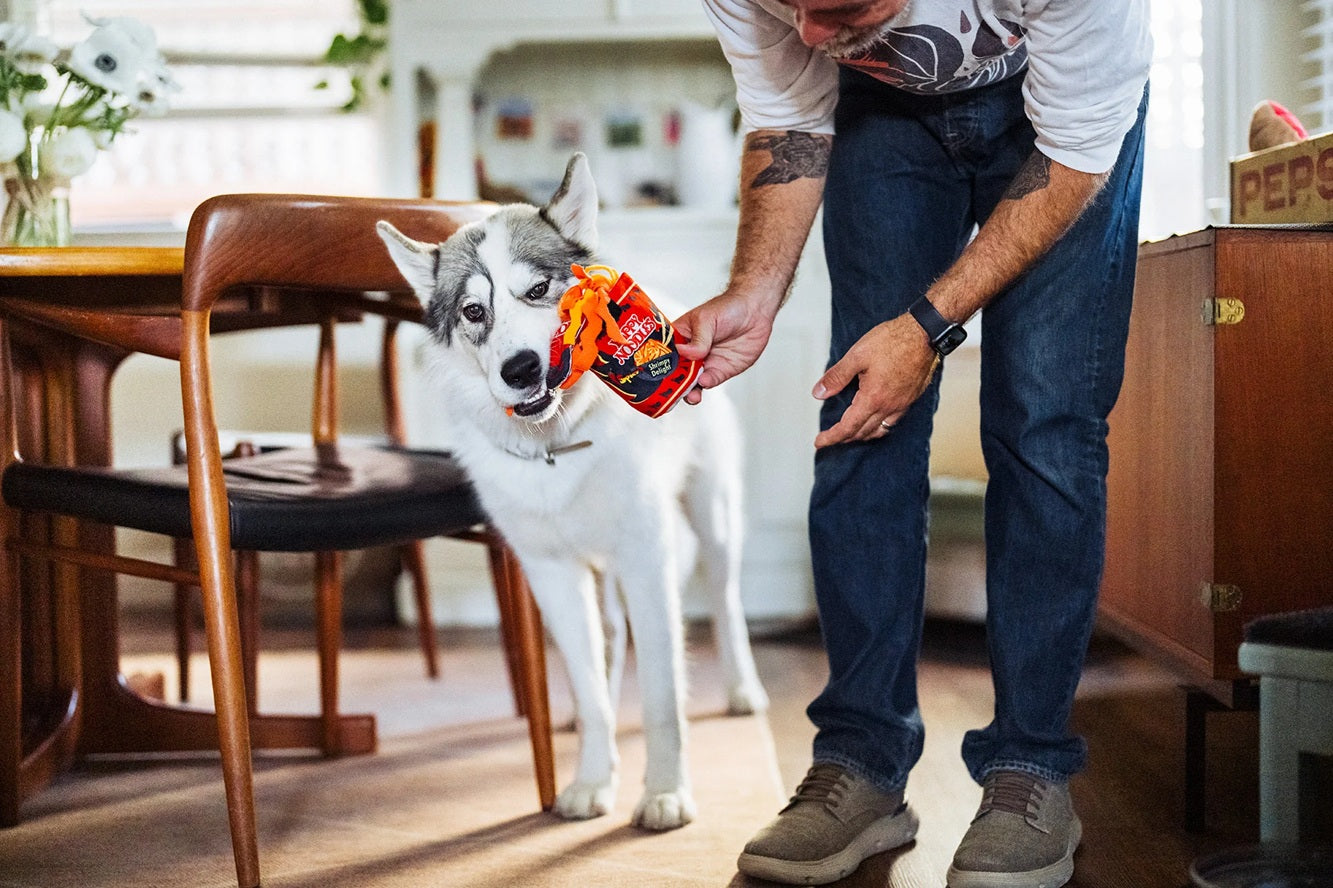 P.L.A.Y. The International Classic Squeaky Plush Dog Toy, Slurp it Up