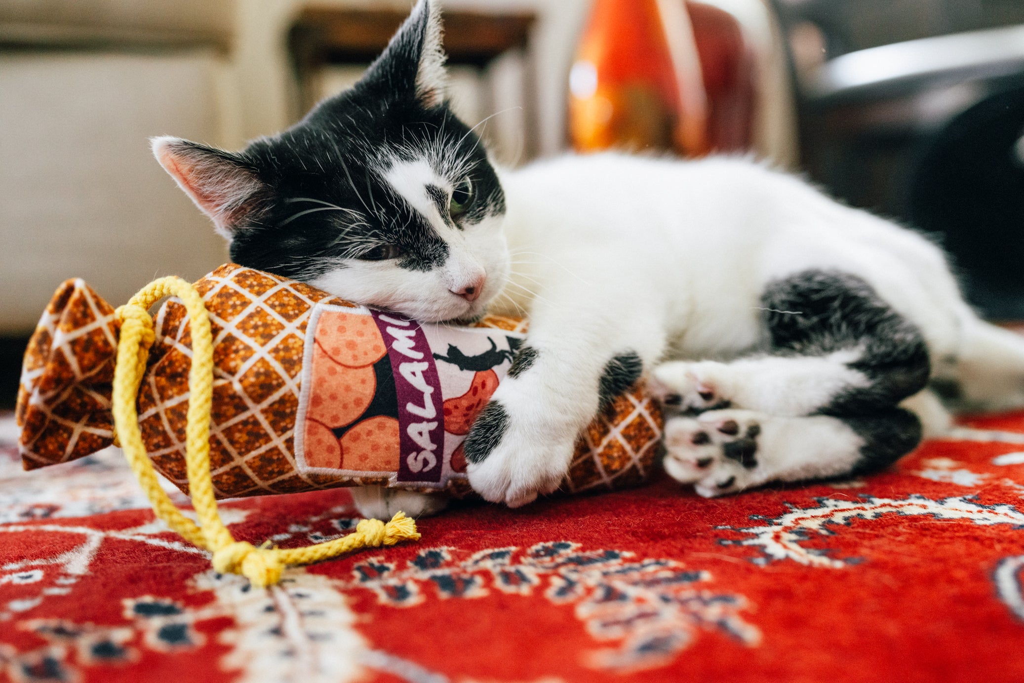 P.L.A.Y. Feline Frenzy, Catnip Kicker Toy set: Salami Slammer