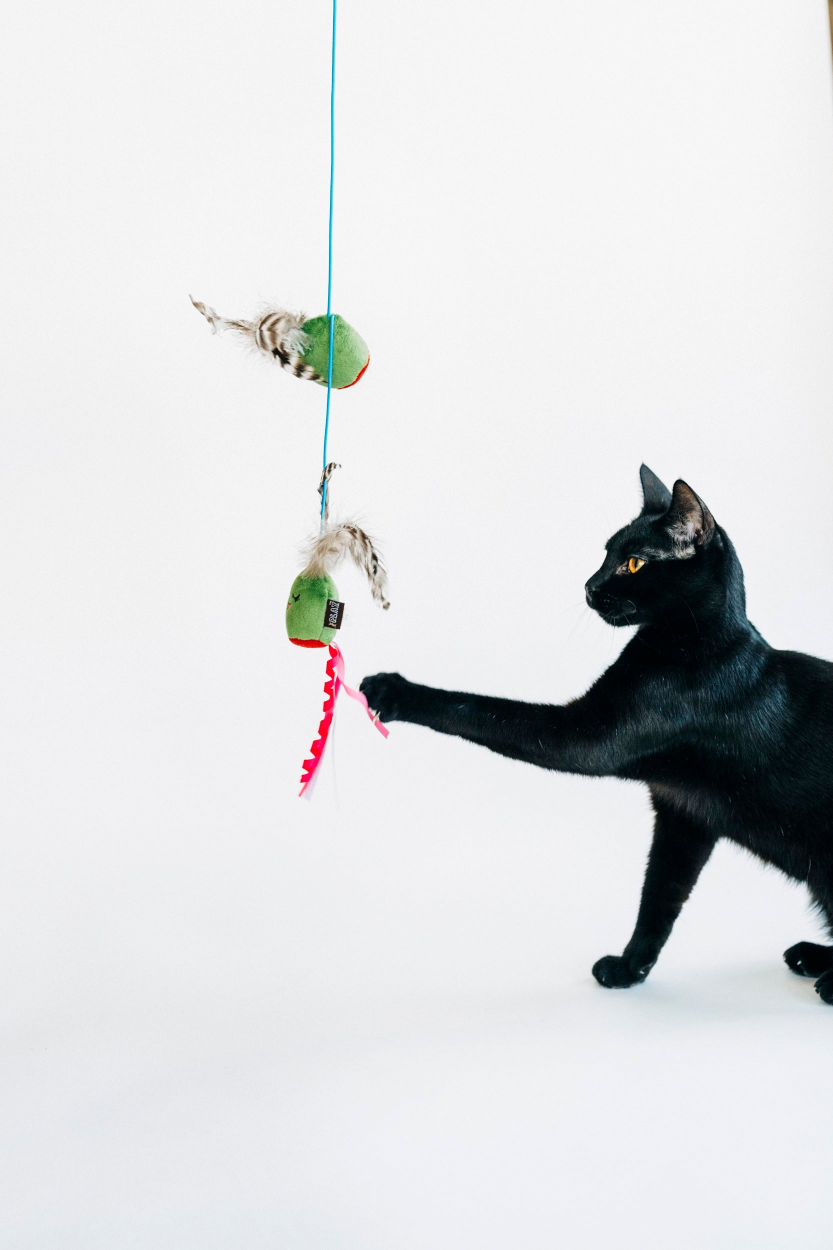 P.L.A.Y. Feline Frenzy, Wand Cat Toy: Purrfectly Pitted