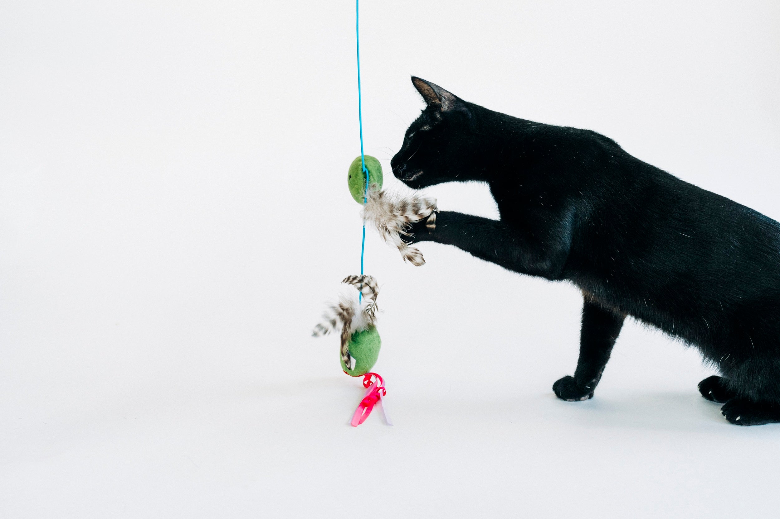 P.L.A.Y. Feline Frenzy, Wand Cat Toy: Purrfectly Pitted
