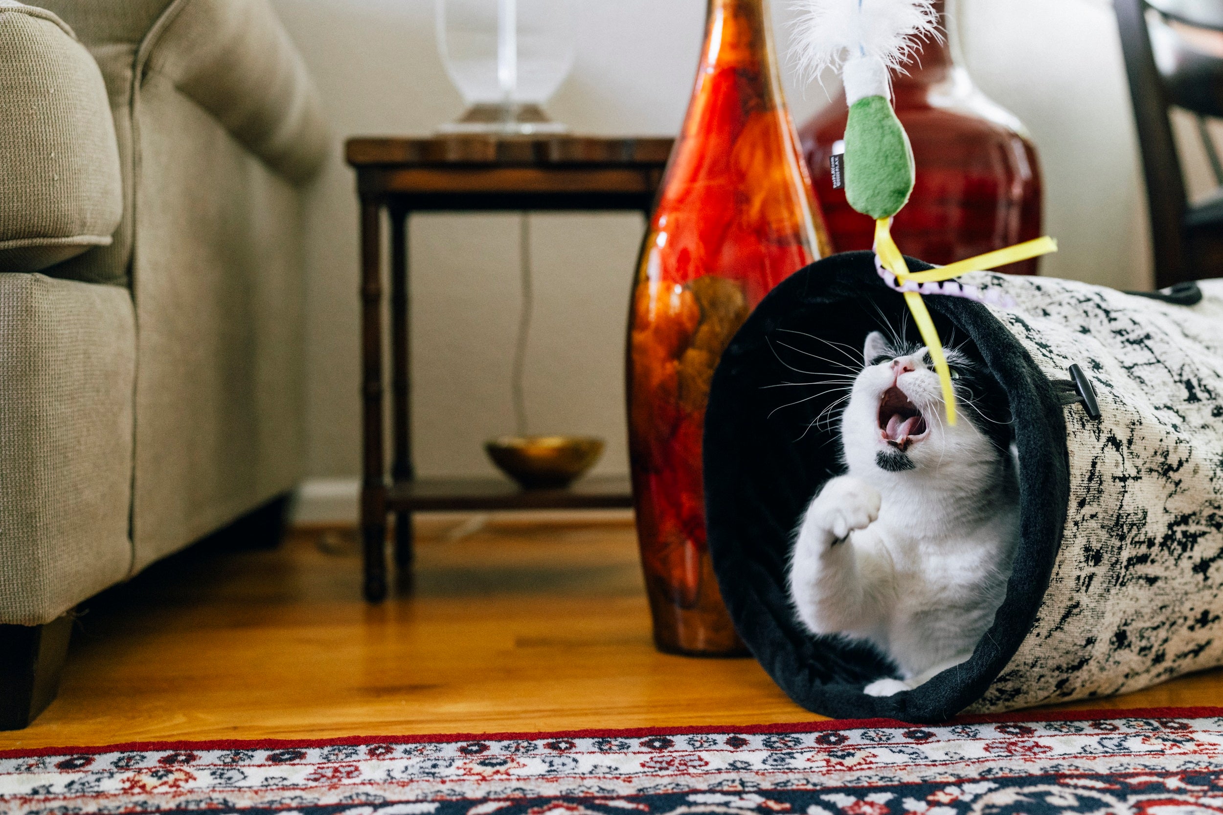 P.L.A.Y. Feline Frenzy, Wand Cat Toy: Purrfectly Pitted