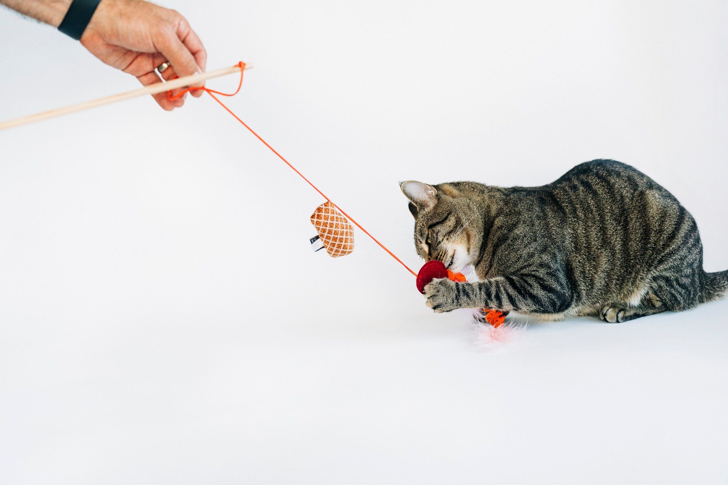 P.L.A.Y. Feline Frenzy, Wand Cat Toy: Swatlami