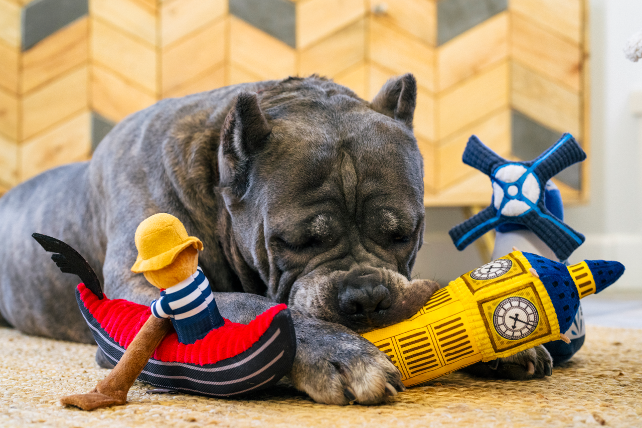 P.L.A.Y. Totally Touristy Squeaky Plush Dog toys, Gondola of Venice