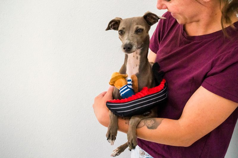 P.L.A.Y. Totally Touristy Squeaky Plush Dog toys, Gondola of Venice