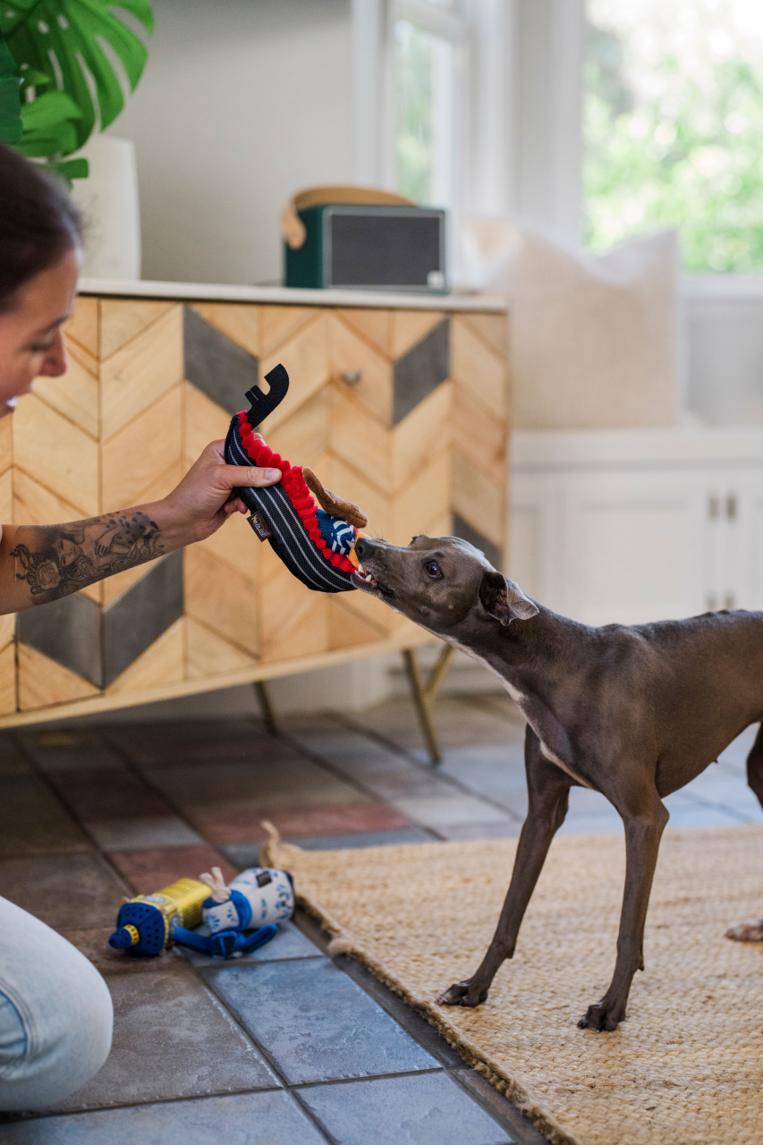 P.L.A.Y. Totally Touristy Squeaky Plush Dog toys, Gondola of Venice