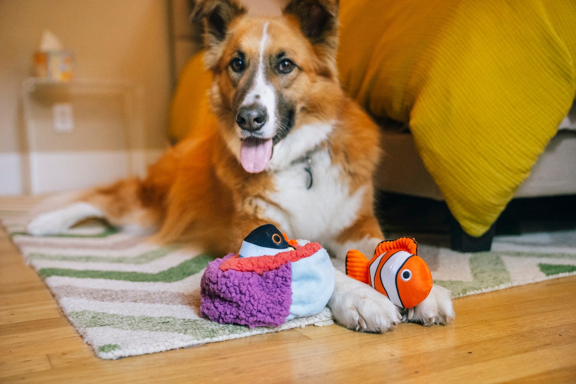P.L.A.Y. Ocean Buddies Reef Retreat colourful coral reef interactive plush dog toy with two small squeaky fish.