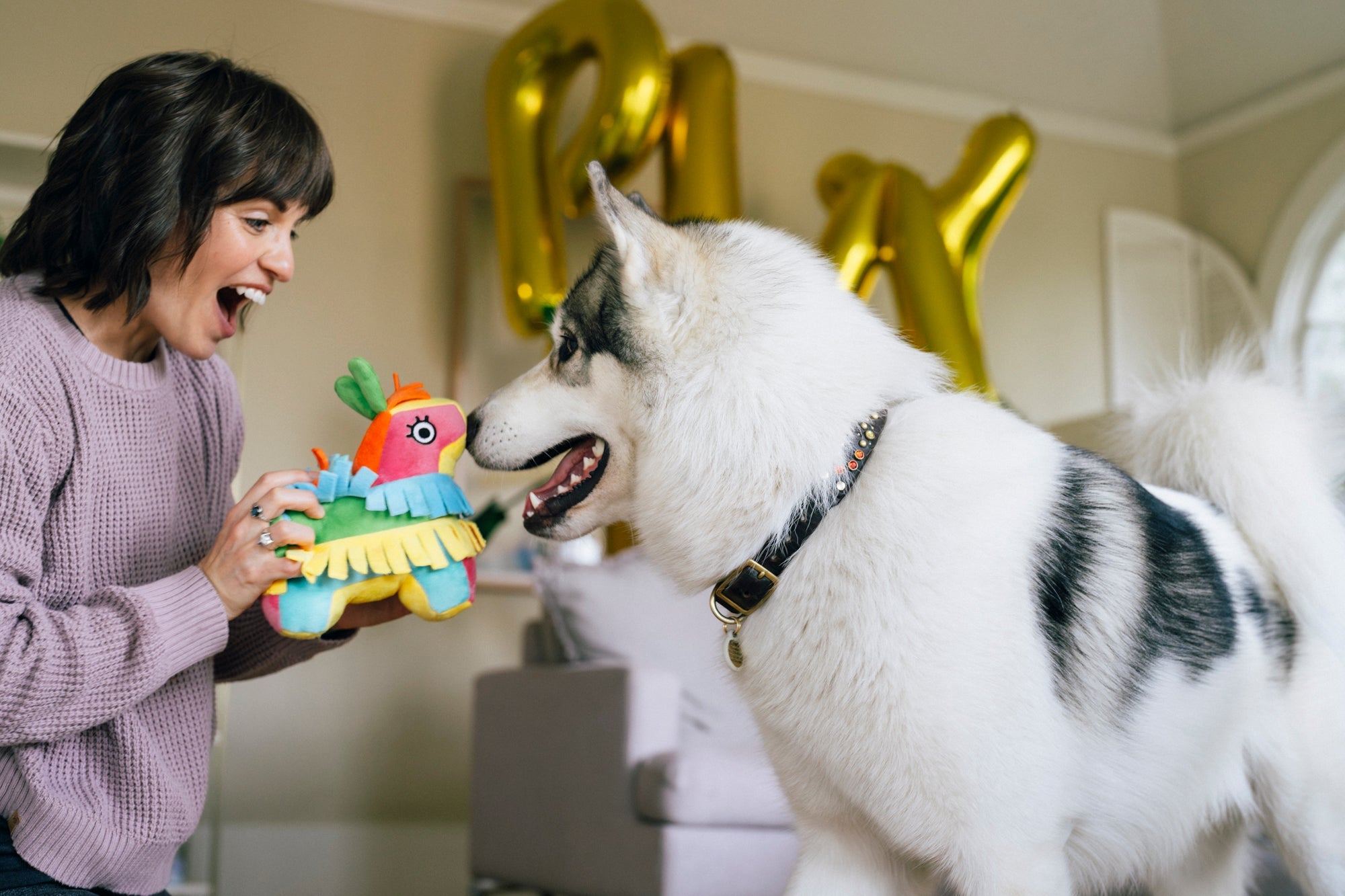 P.L.A.Y. Party Animal Fiesta Fetch Pinata Durable Squeaky Dog Toy