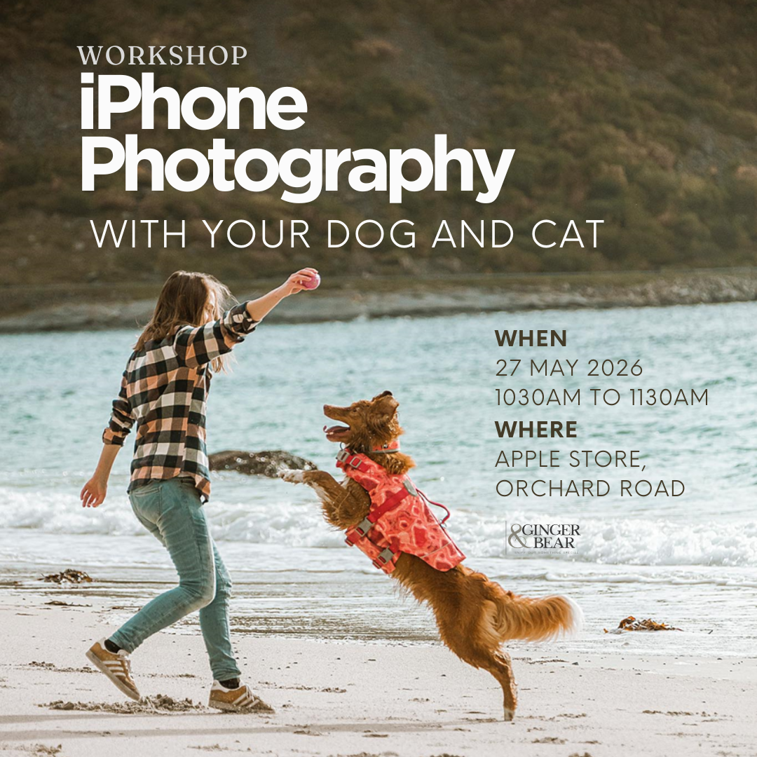 Workshop: iPhone Photography with your dog and cat