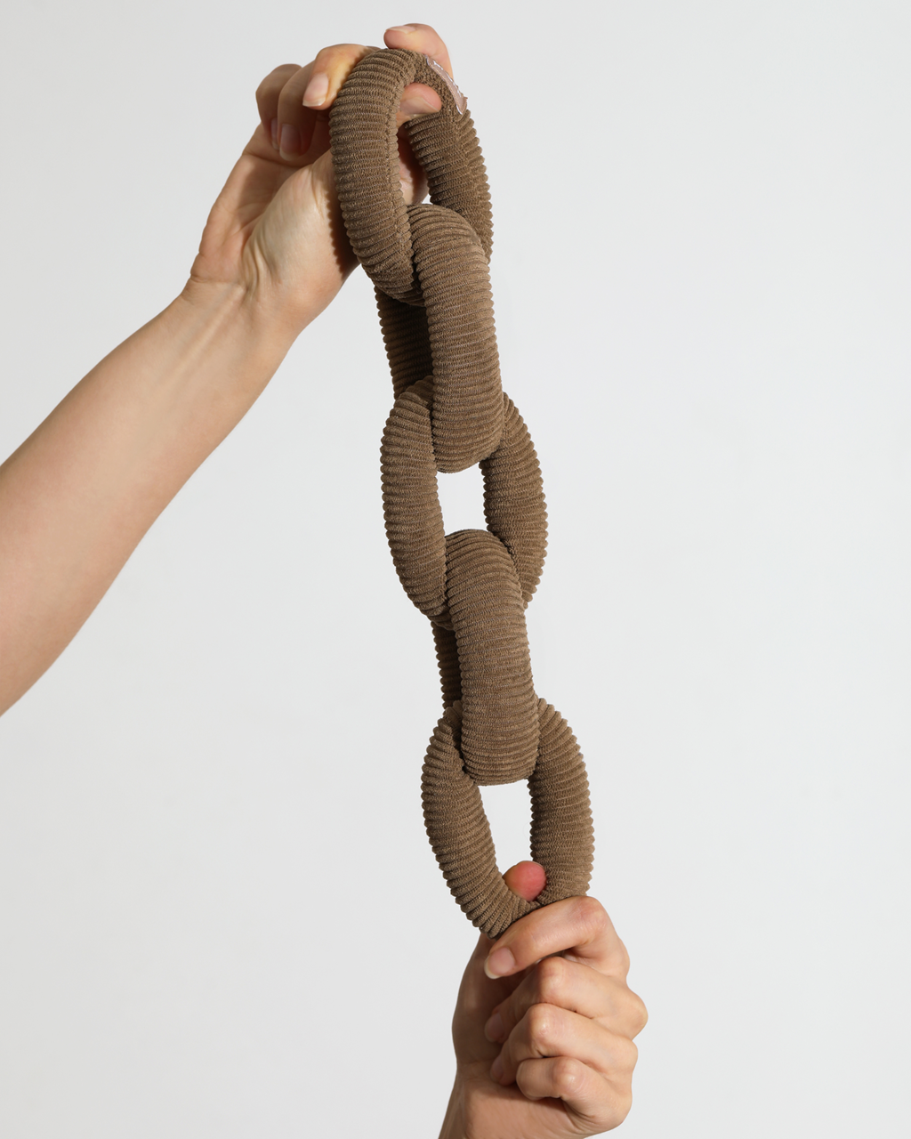 Pruff Pets Plush Dog Toy: Many Links