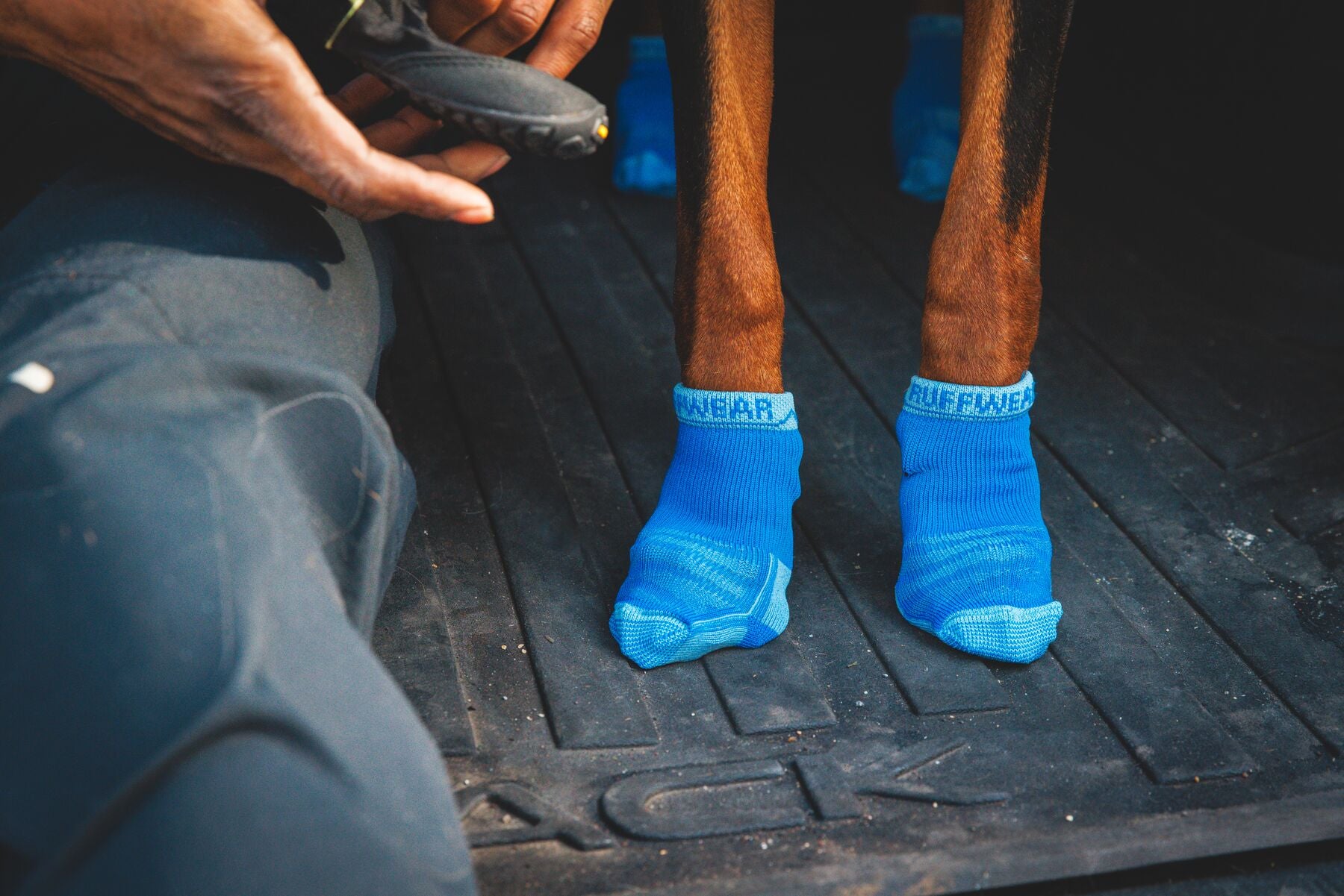 Ruffwear Bark'n Boot Dog Socks in a set of four, showing the engineered knit and contoured shape designed to prevent dog boot chafing.