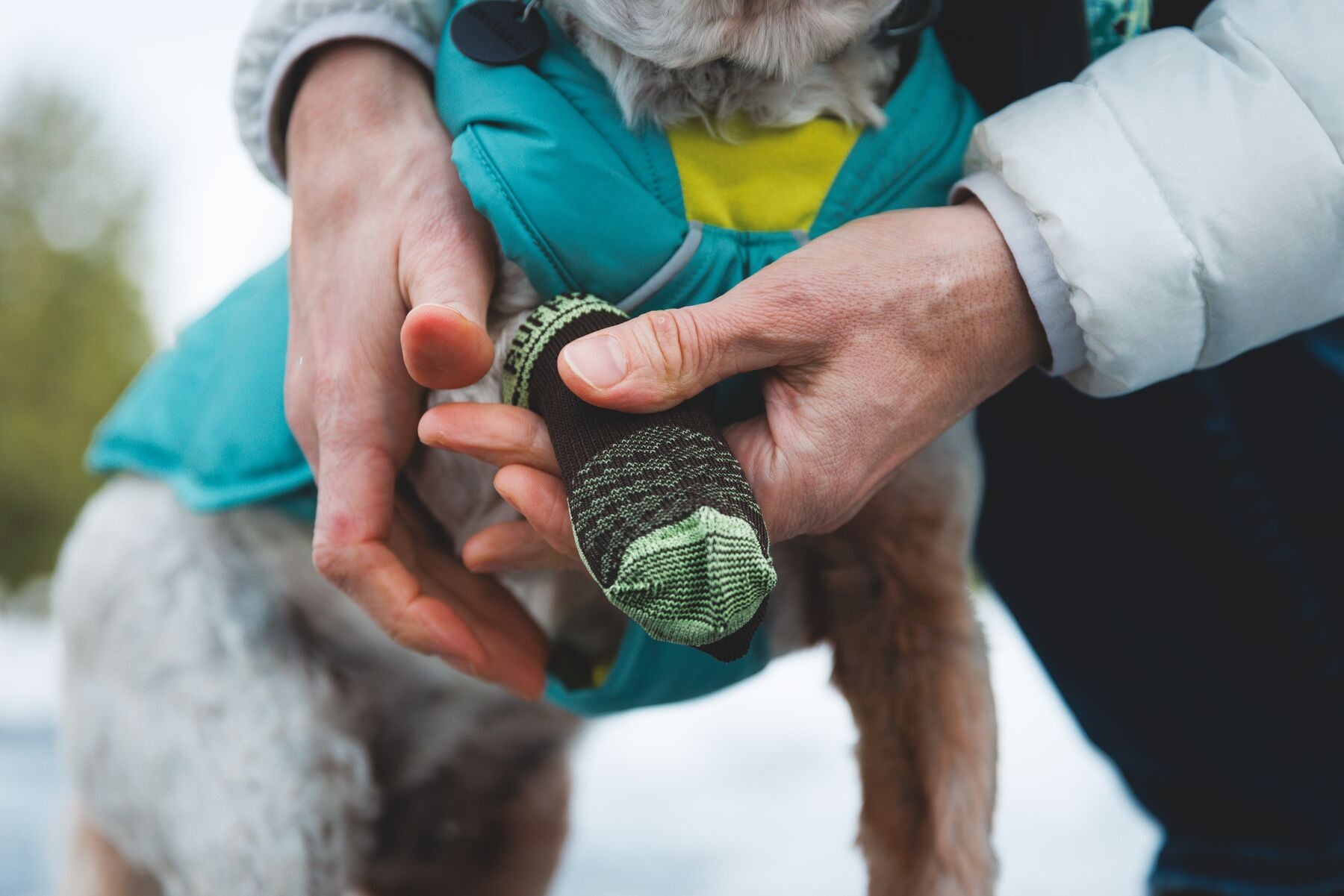 Ruffwear Bark'n Boot Dog Socks in a set of four, showing the engineered knit and contoured shape designed to prevent dog boot chafing.