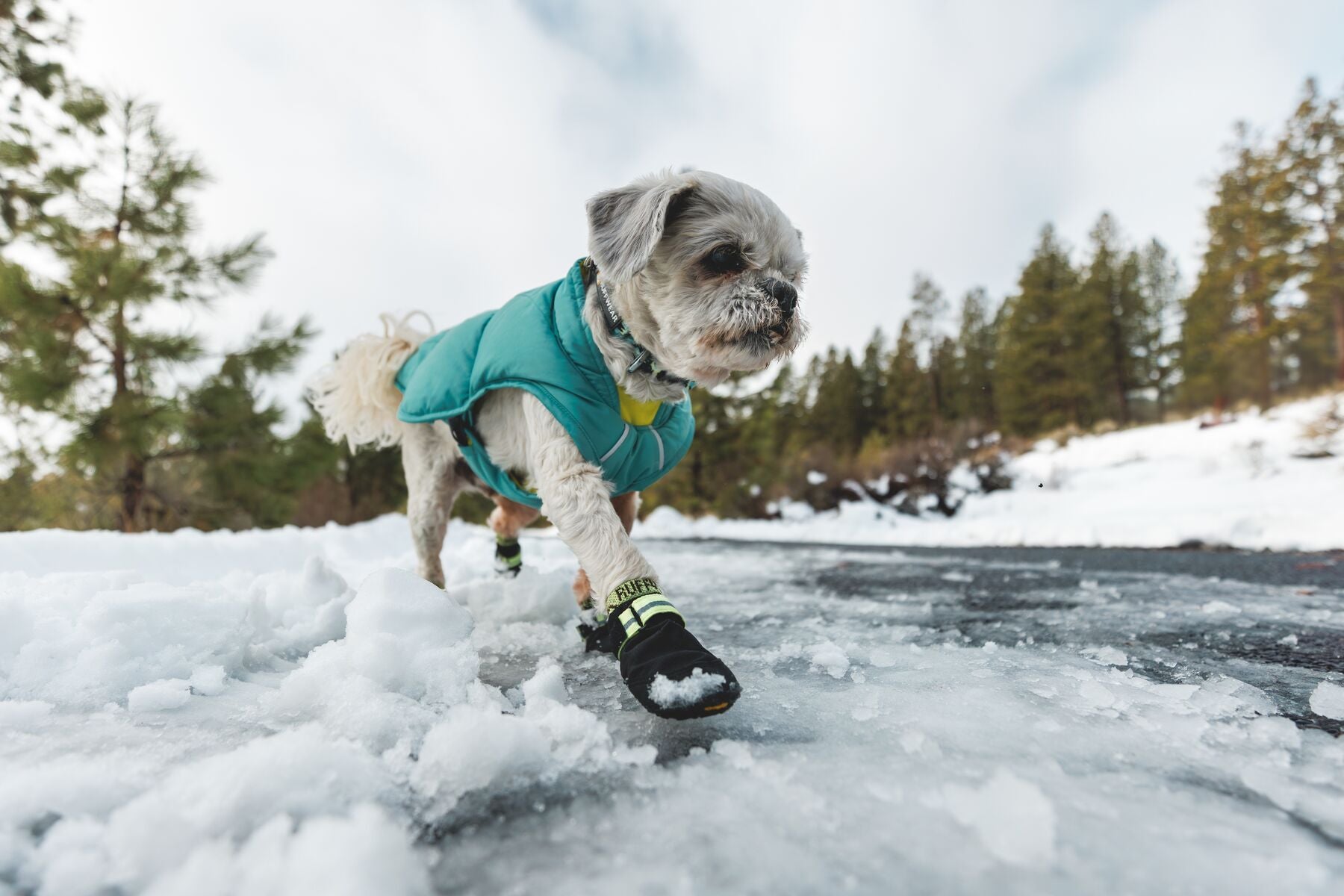 Ruffwear Bark'n Boot Dog Socks in a set of four, showing the engineered knit and contoured shape designed to prevent dog boot chafing.