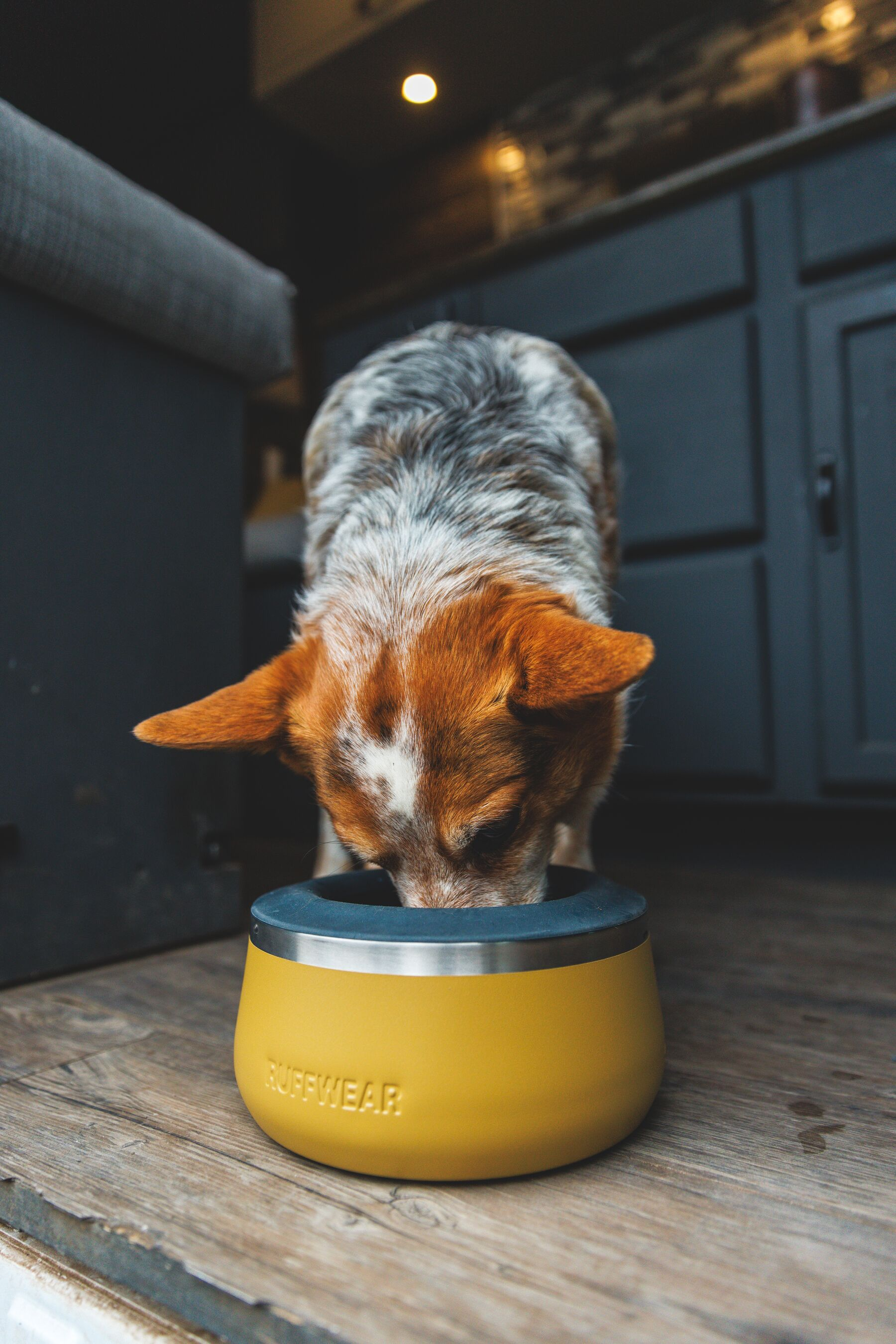 Ruffwear BaseCamp Dog Bowl