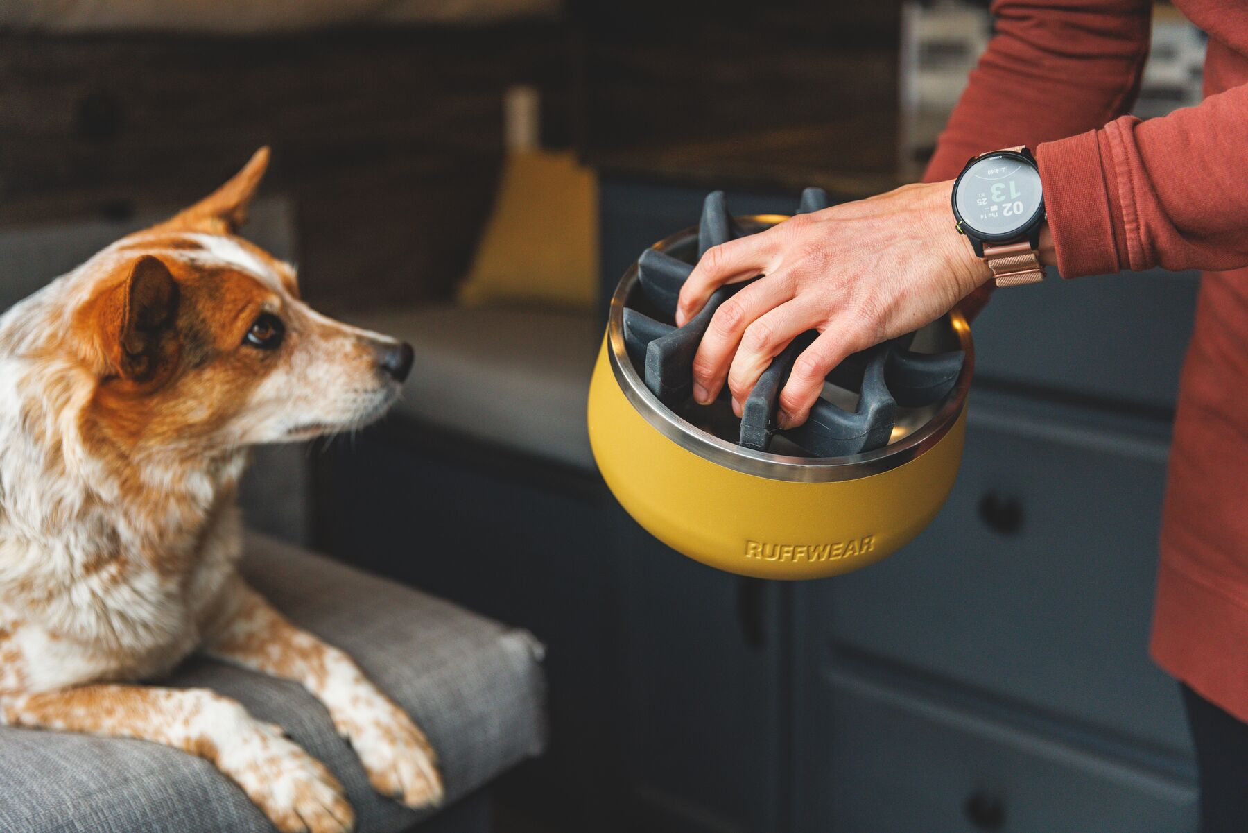 Ruffwear BaseCamp Dog Bowl
