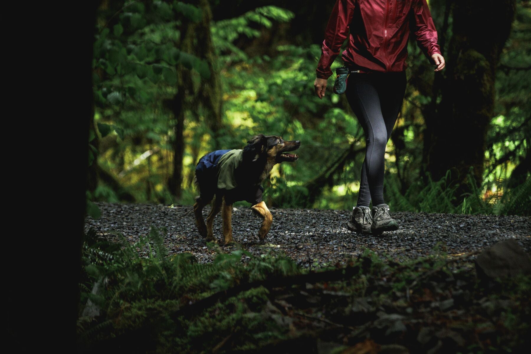 Waterproof Ruffwear Sun Shower dog raincoat with stretch sleeves and a chest zipper for full weatherproof protection