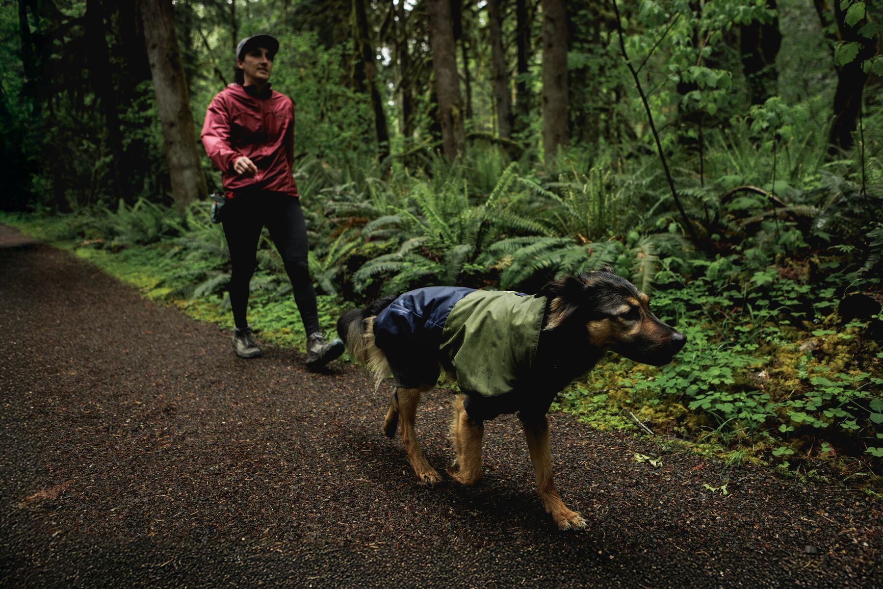 Waterproof Ruffwear Sun Shower dog raincoat with stretch sleeves and a chest zipper for full weatherproof protection