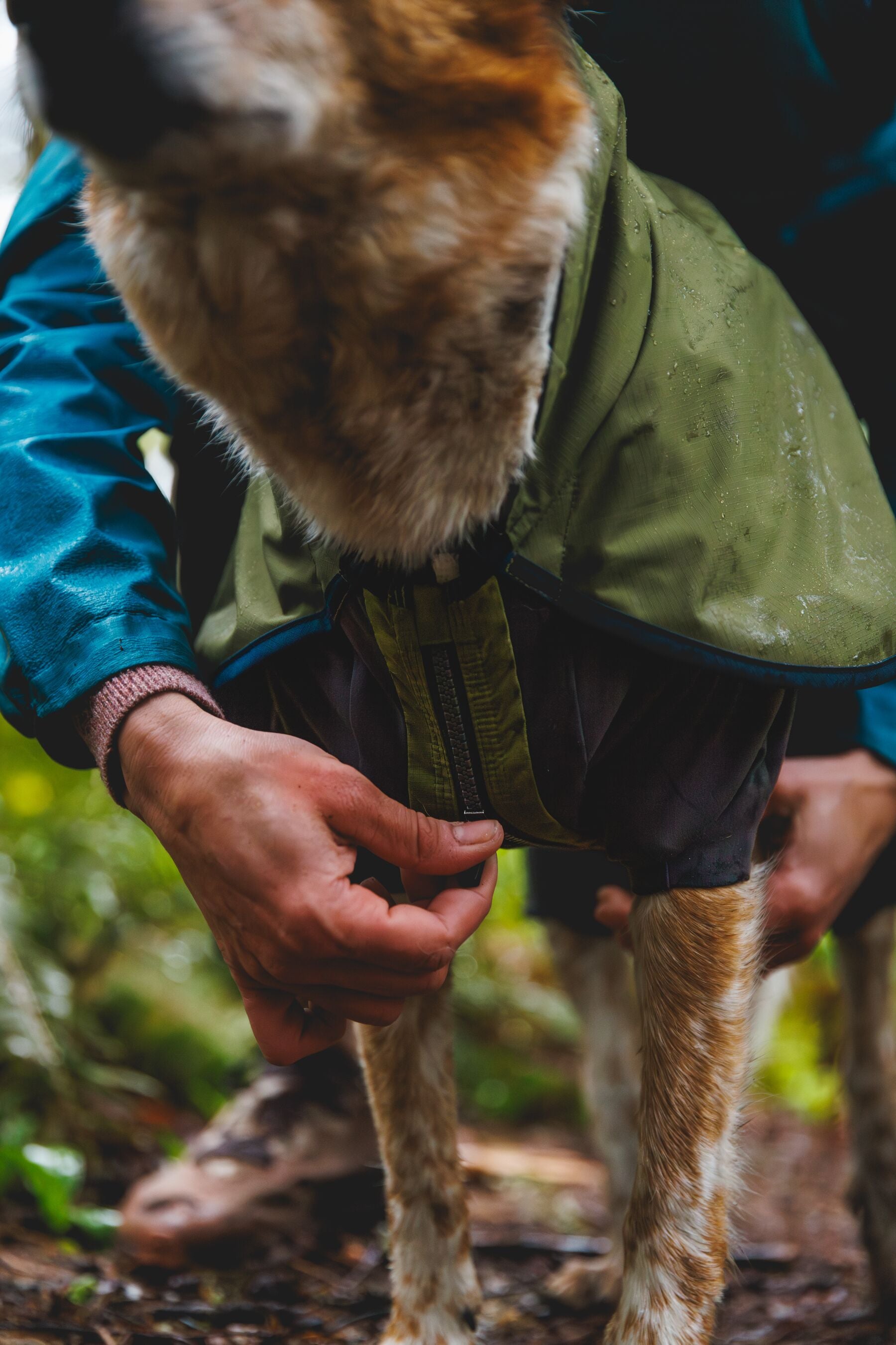 Waterproof Ruffwear Sun Shower dog raincoat with stretch sleeves and a chest zipper for full weatherproof protection